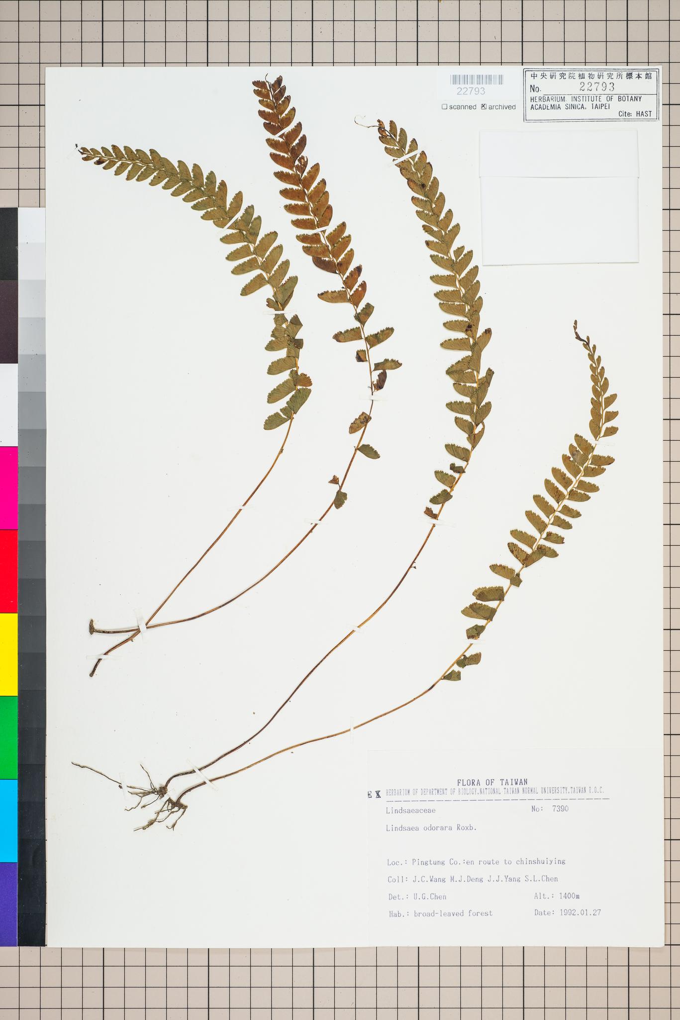 Sample image for viewer