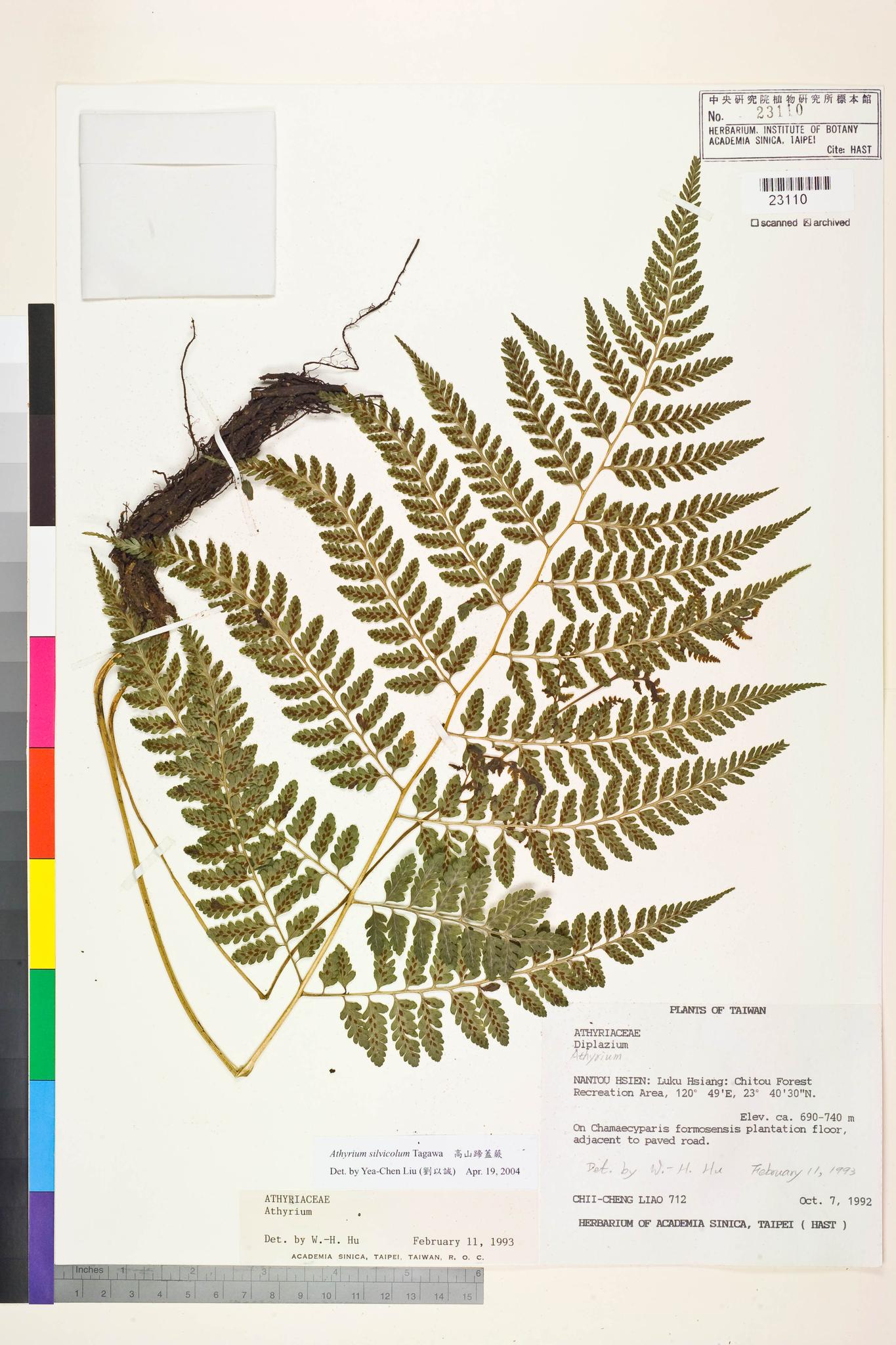 Sample image for viewer