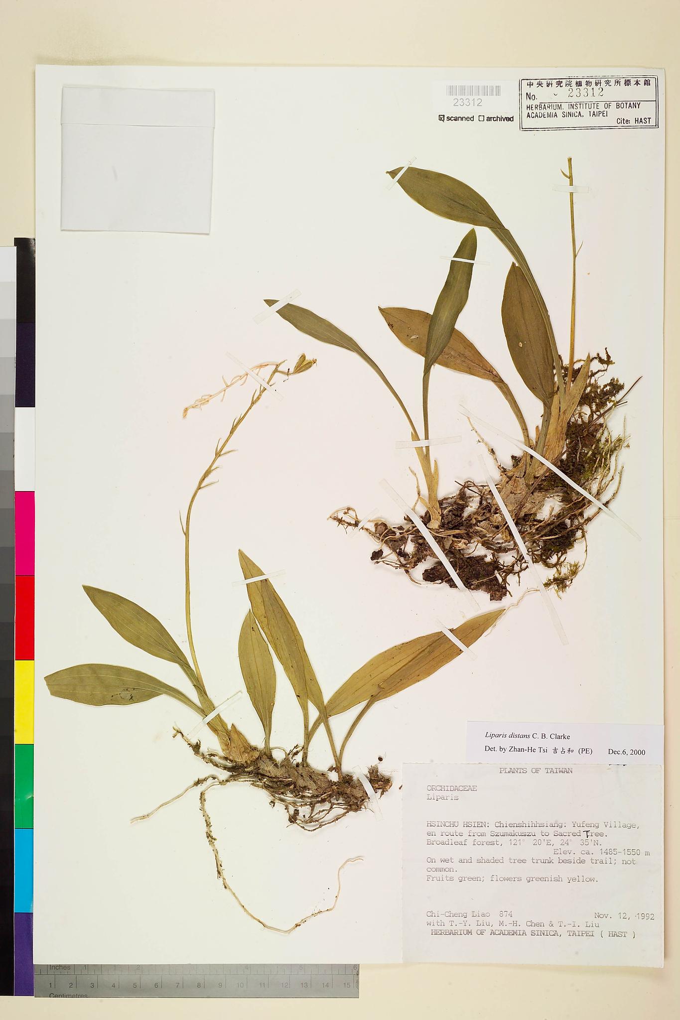 Sample image for viewer