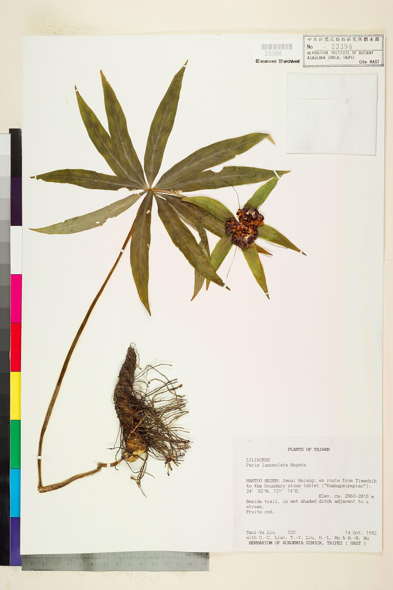 Sample image for viewer