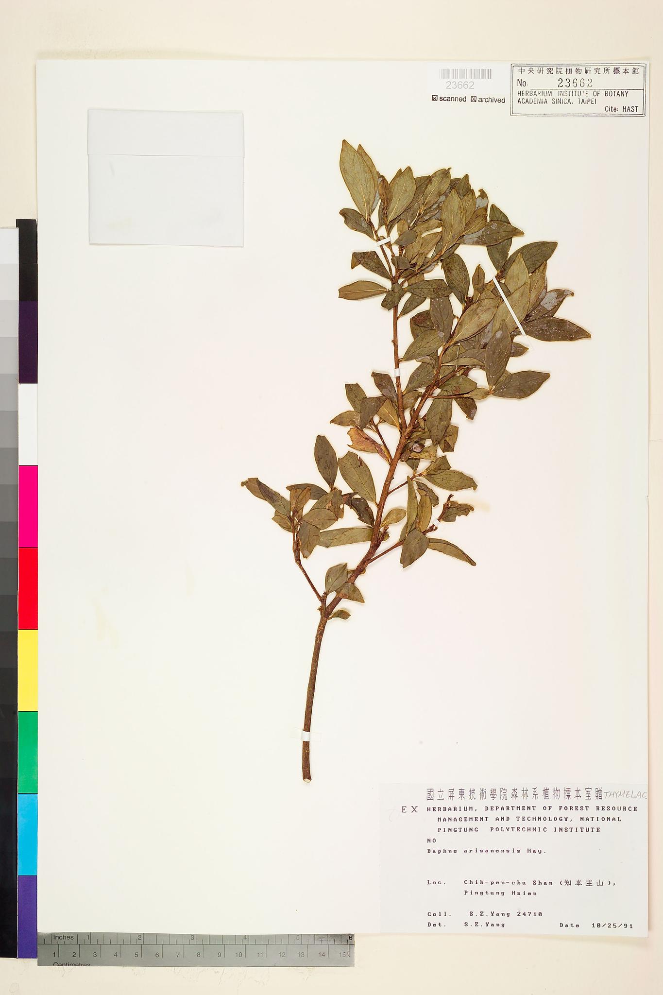 Sample image for viewer