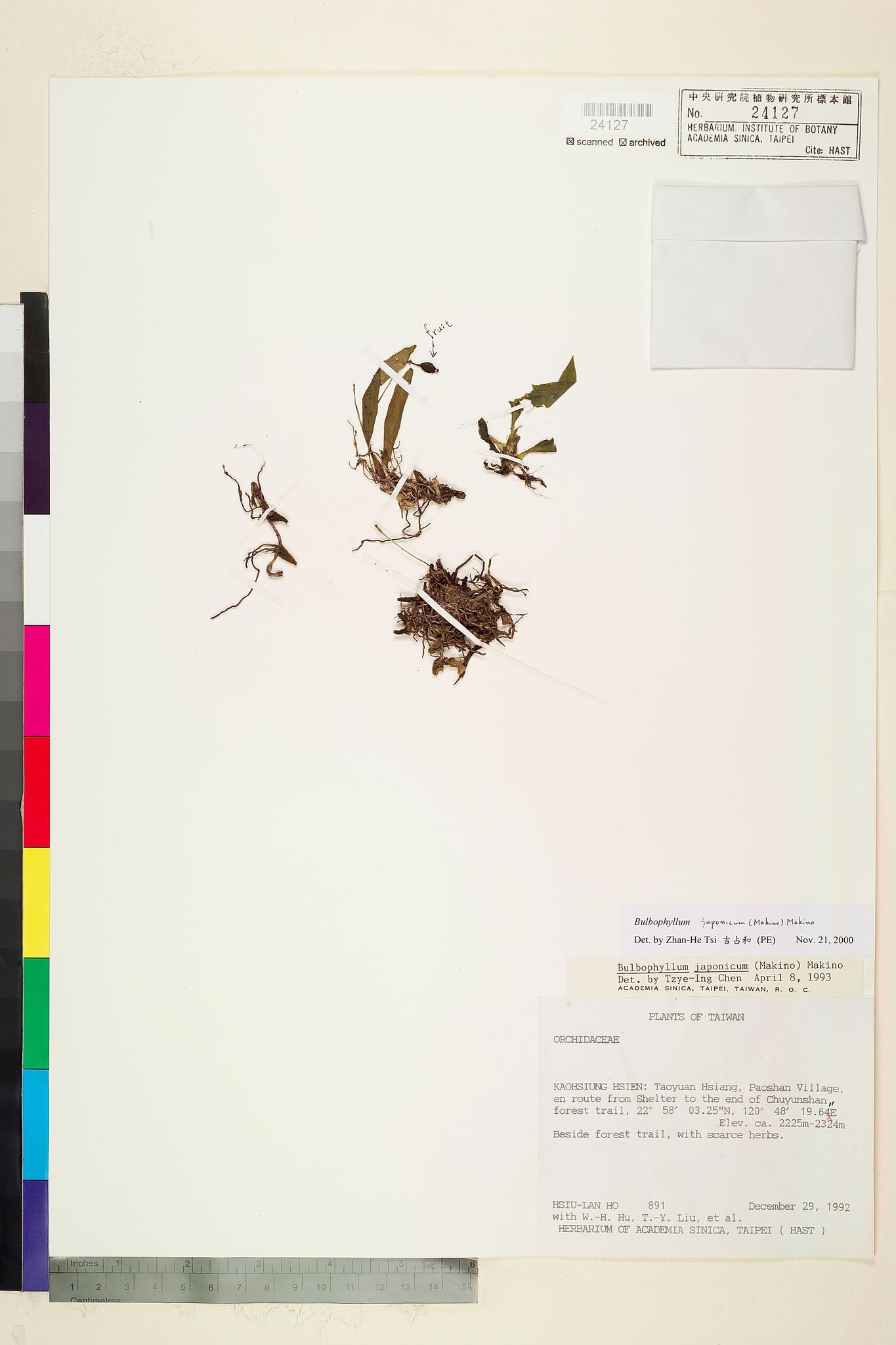 Sample image for viewer