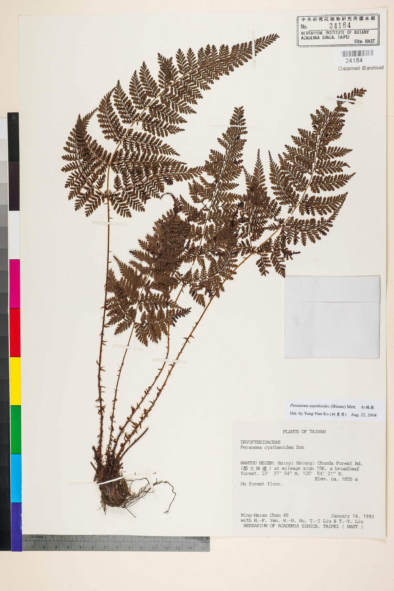 Sample image for viewer