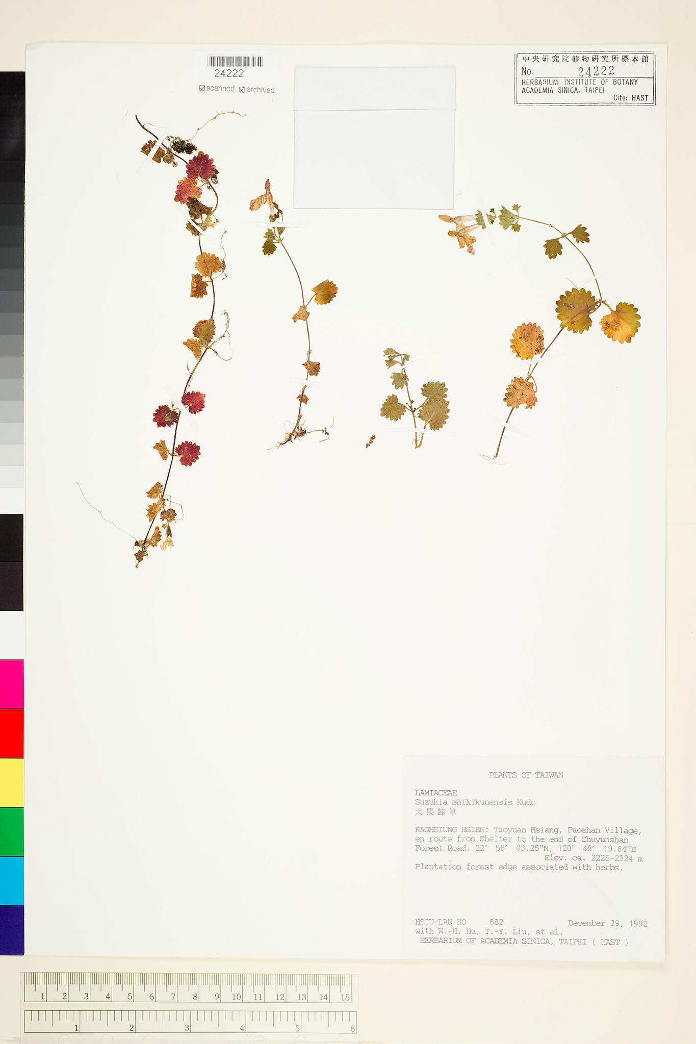 Sample image for viewer