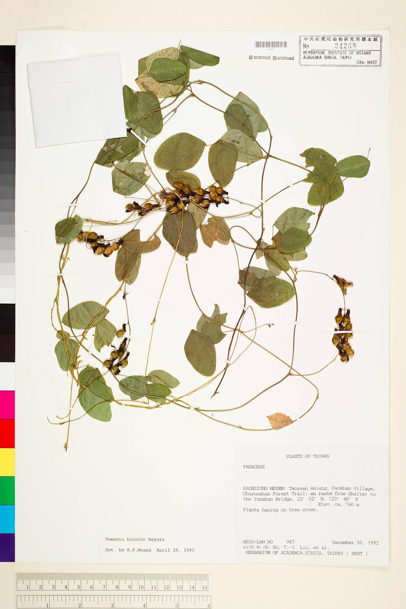 Sample image for viewer