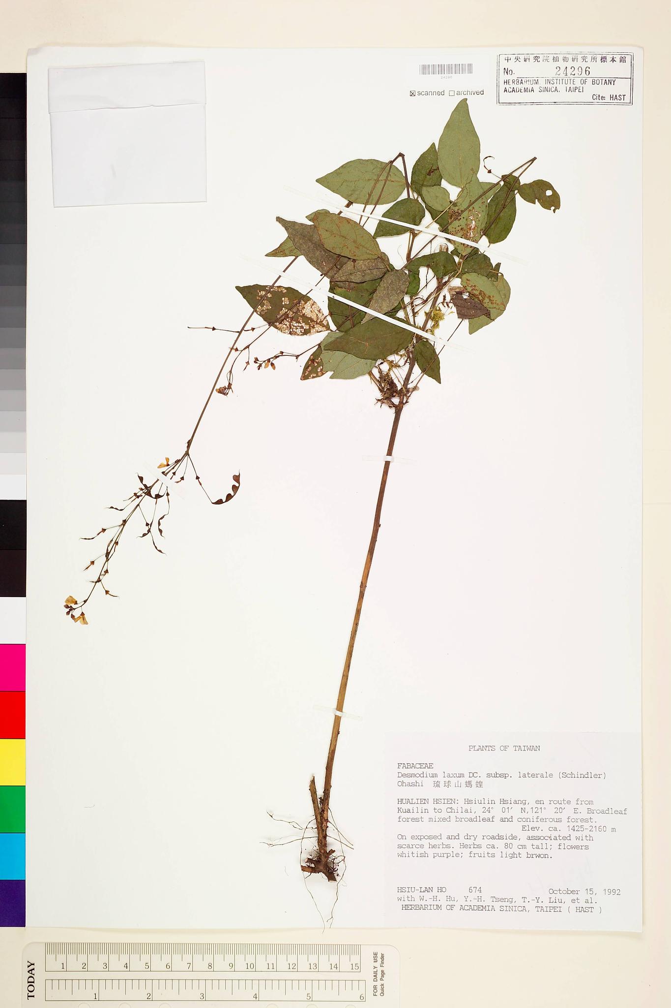 Sample image for viewer