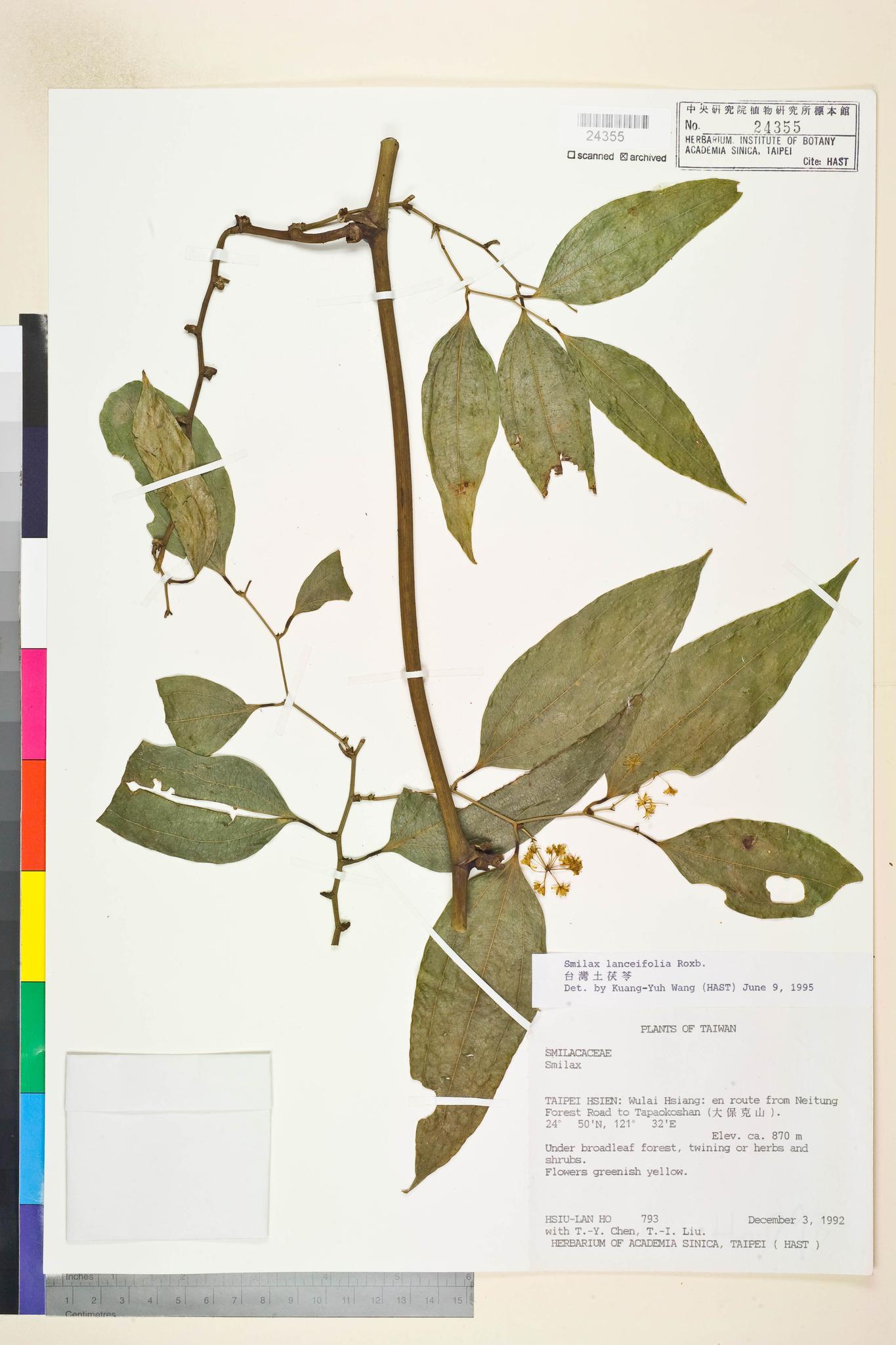 Sample image for viewer