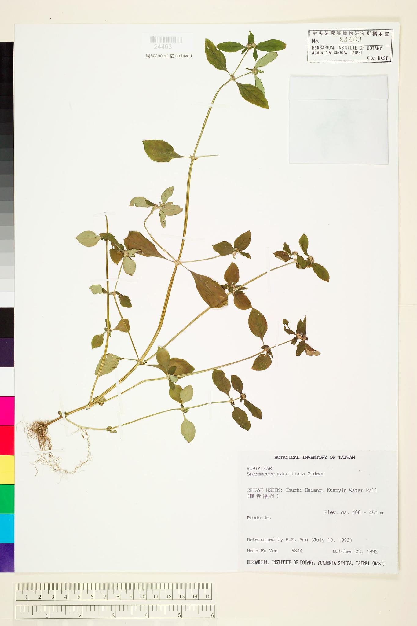 Sample image for viewer