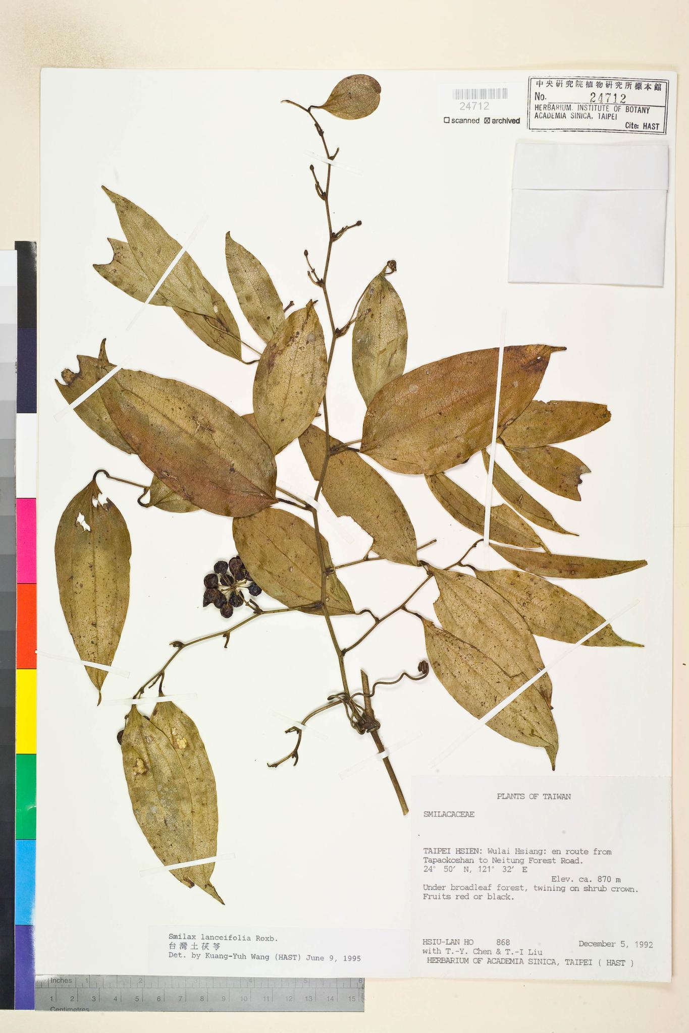 Sample image for viewer