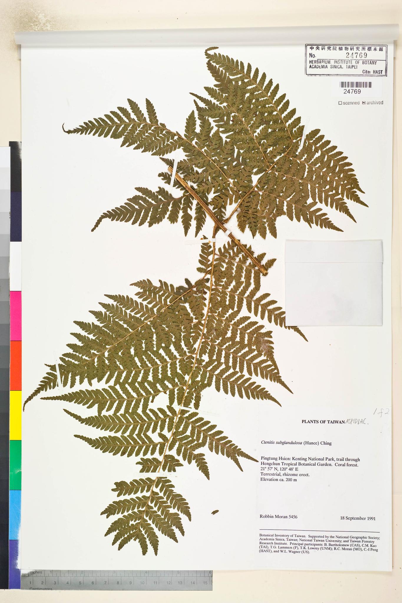 Sample image for viewer