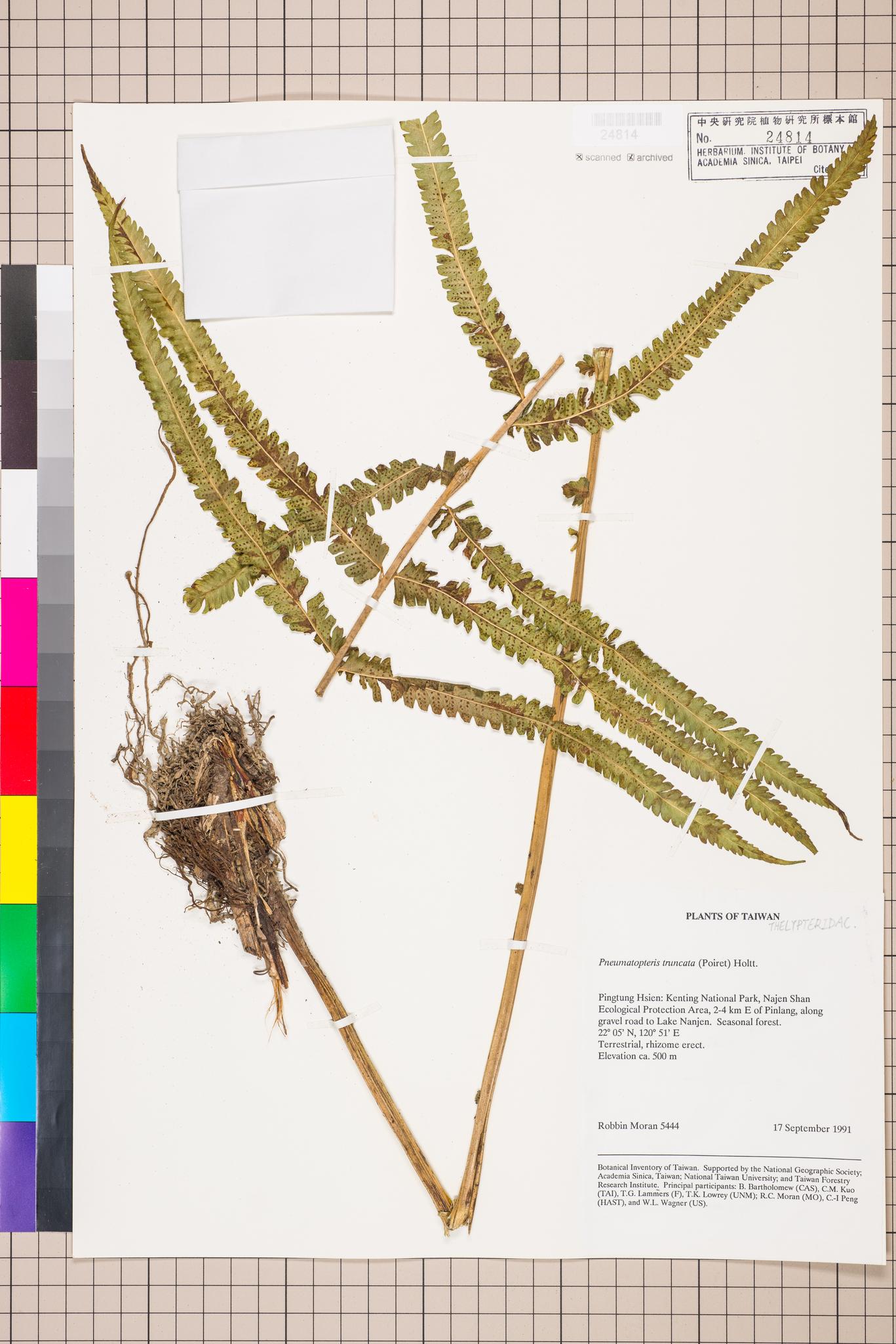 Sample image for viewer