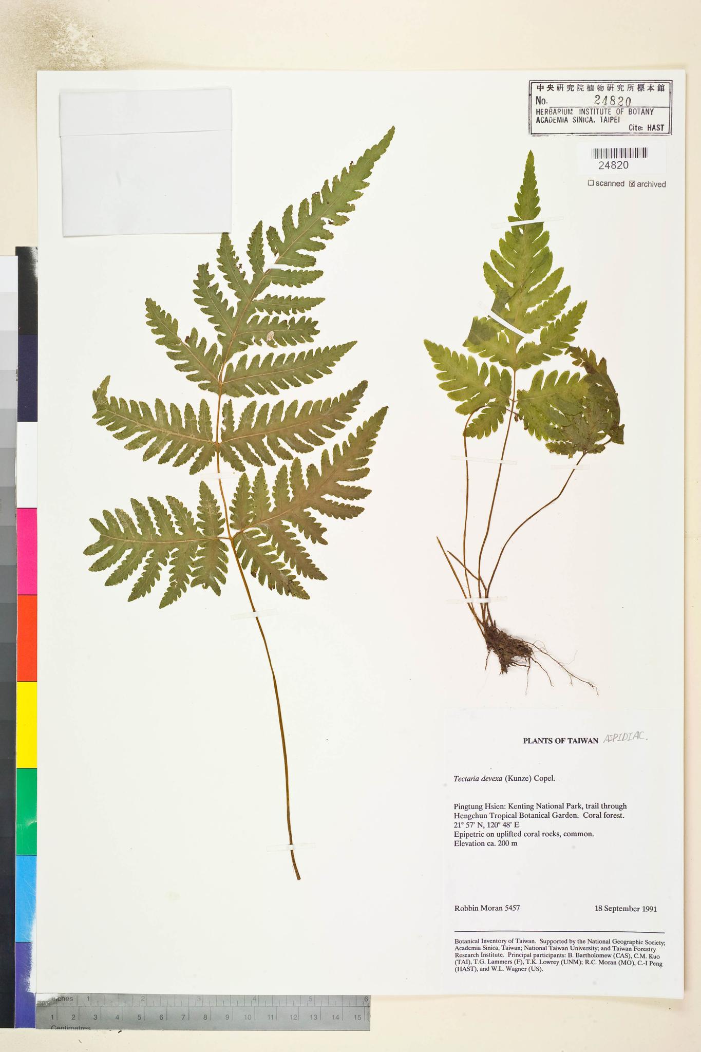 Sample image for viewer