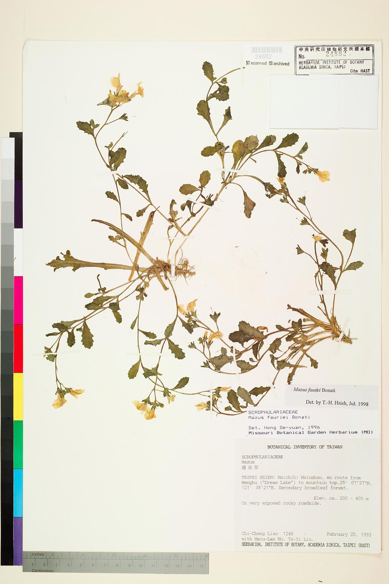 Sample image for viewer