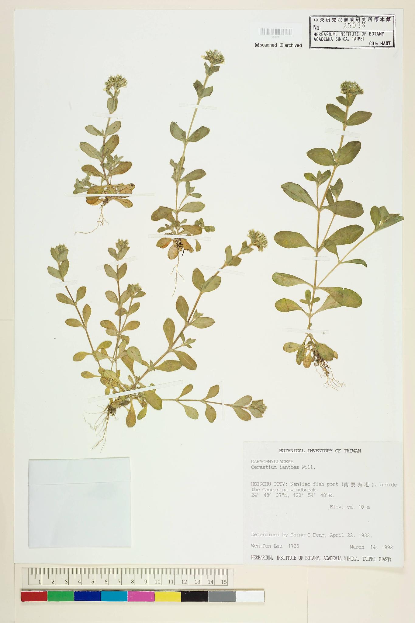 Sample image for viewer