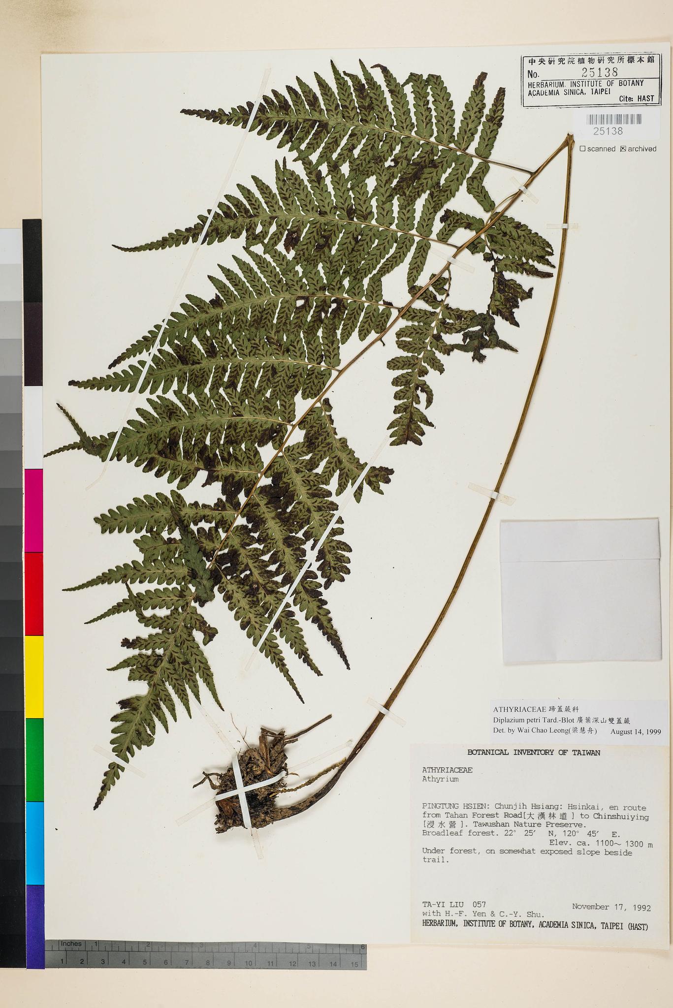 Sample image for viewer