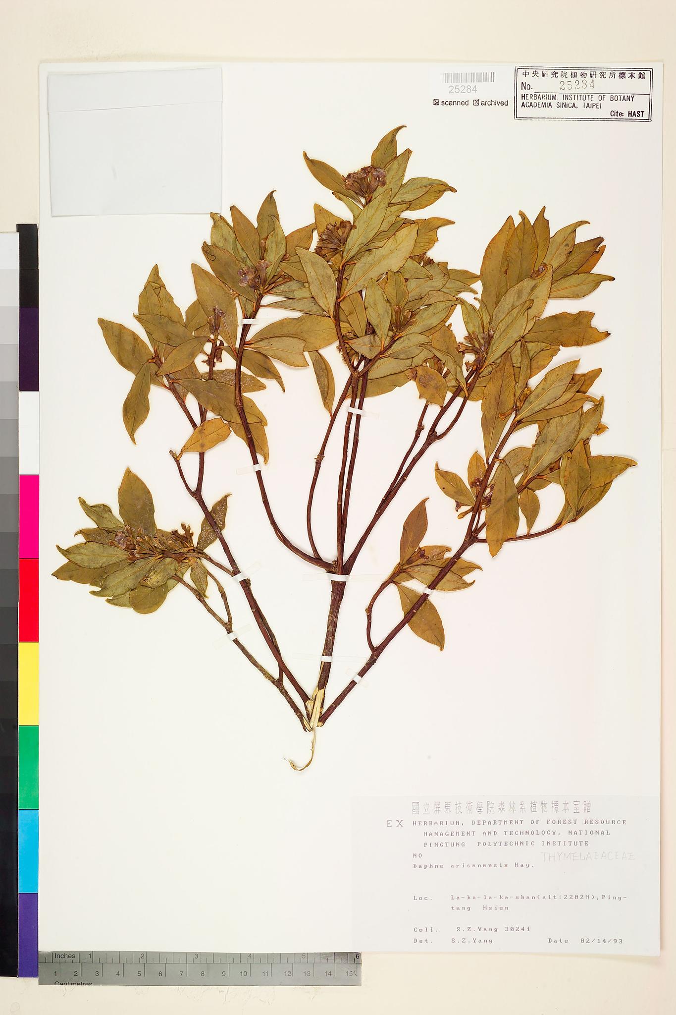 Sample image for viewer