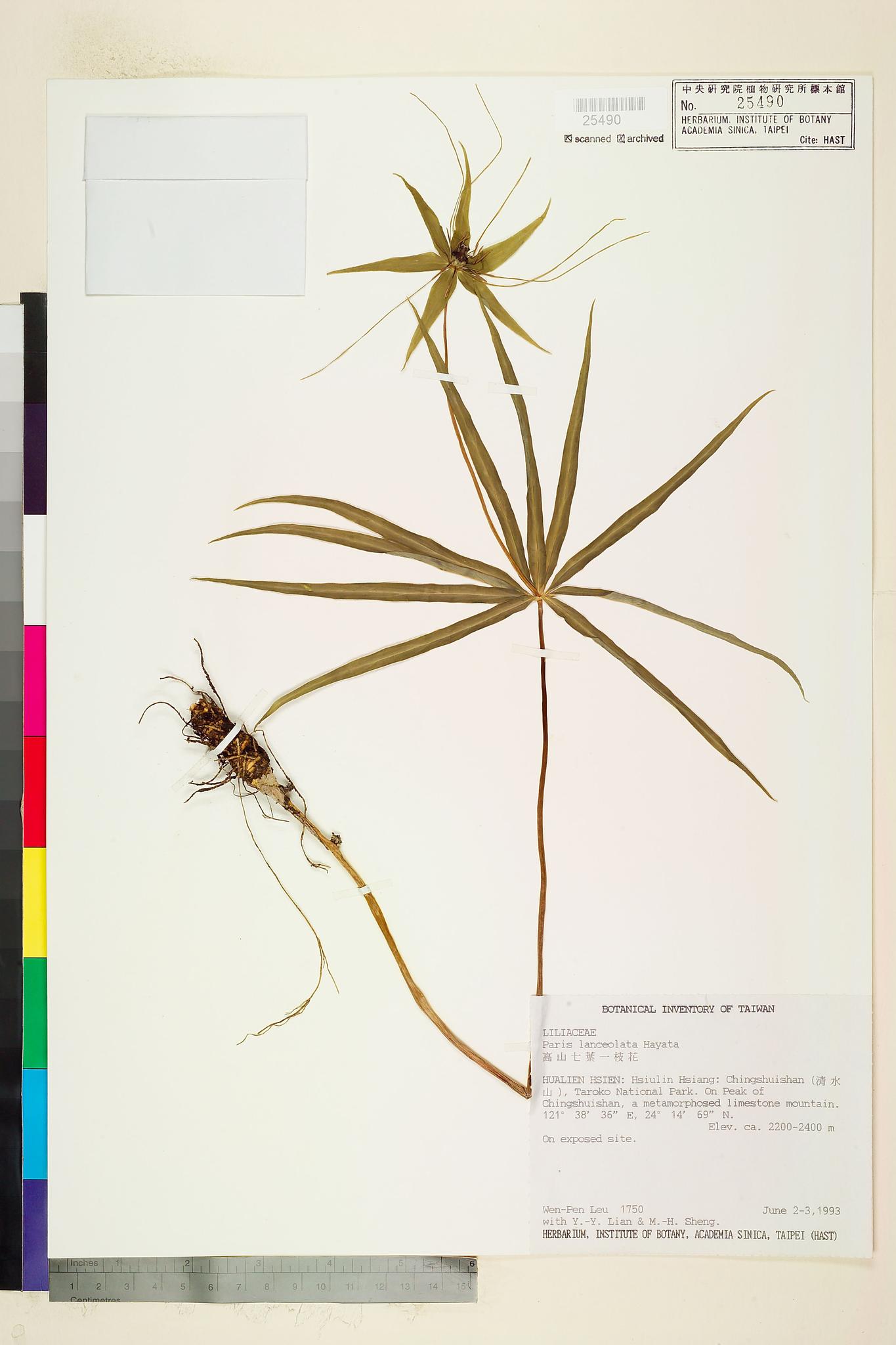 Sample image for viewer