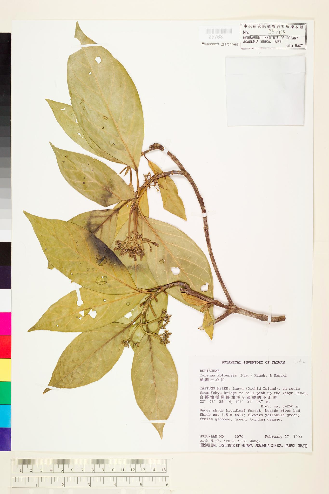 Sample image for viewer