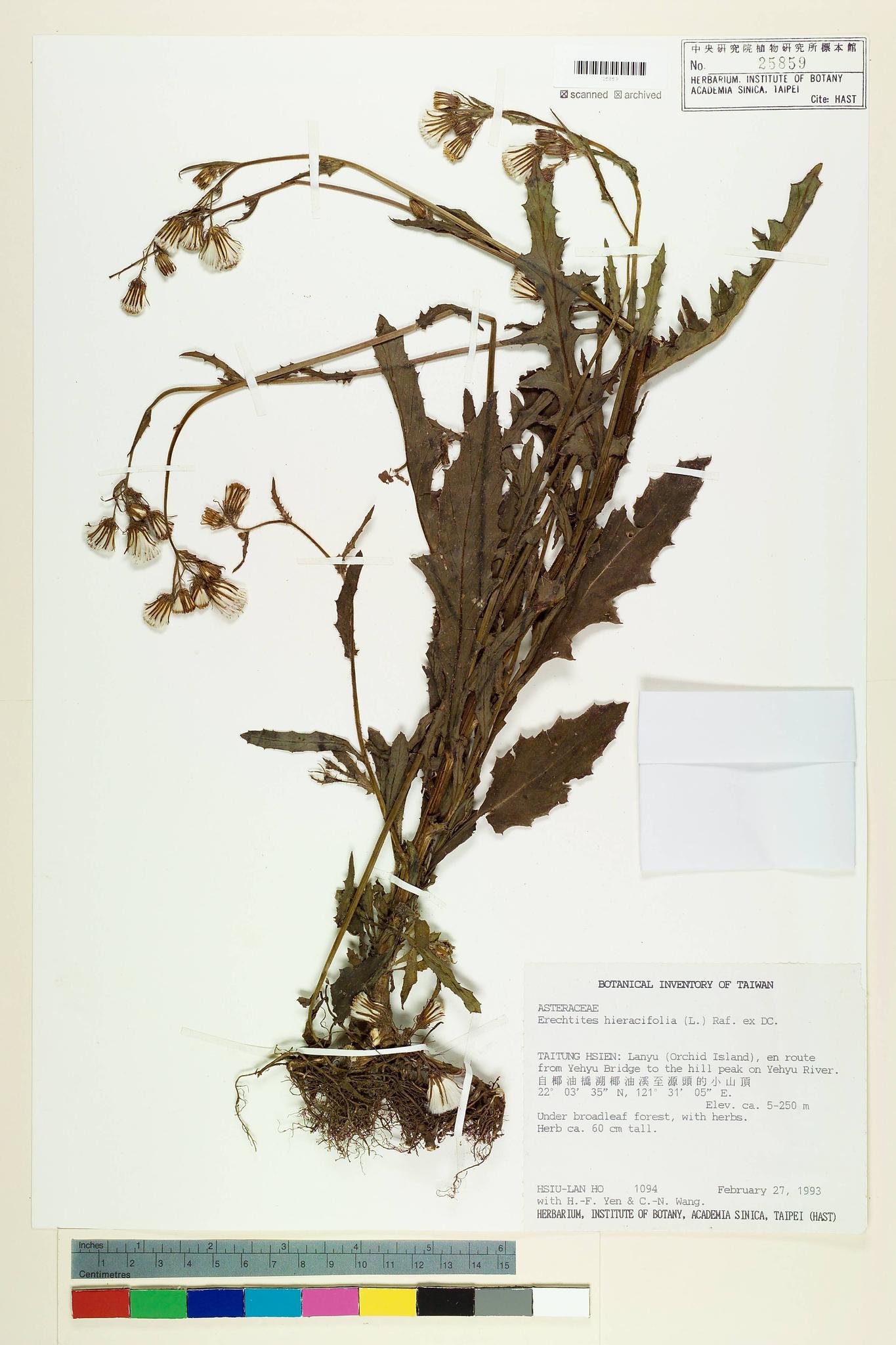 Sample image for viewer