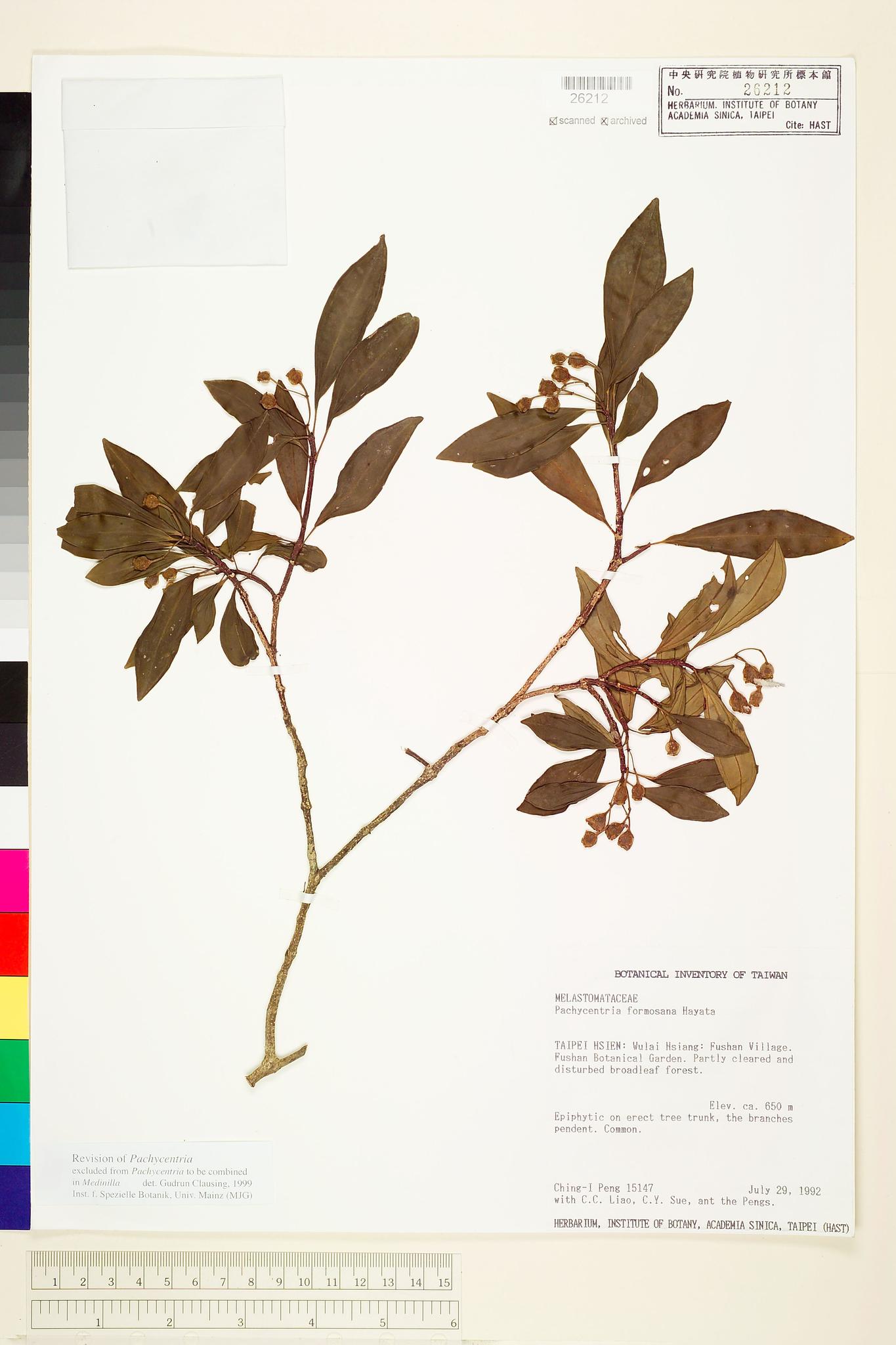 Sample image for viewer