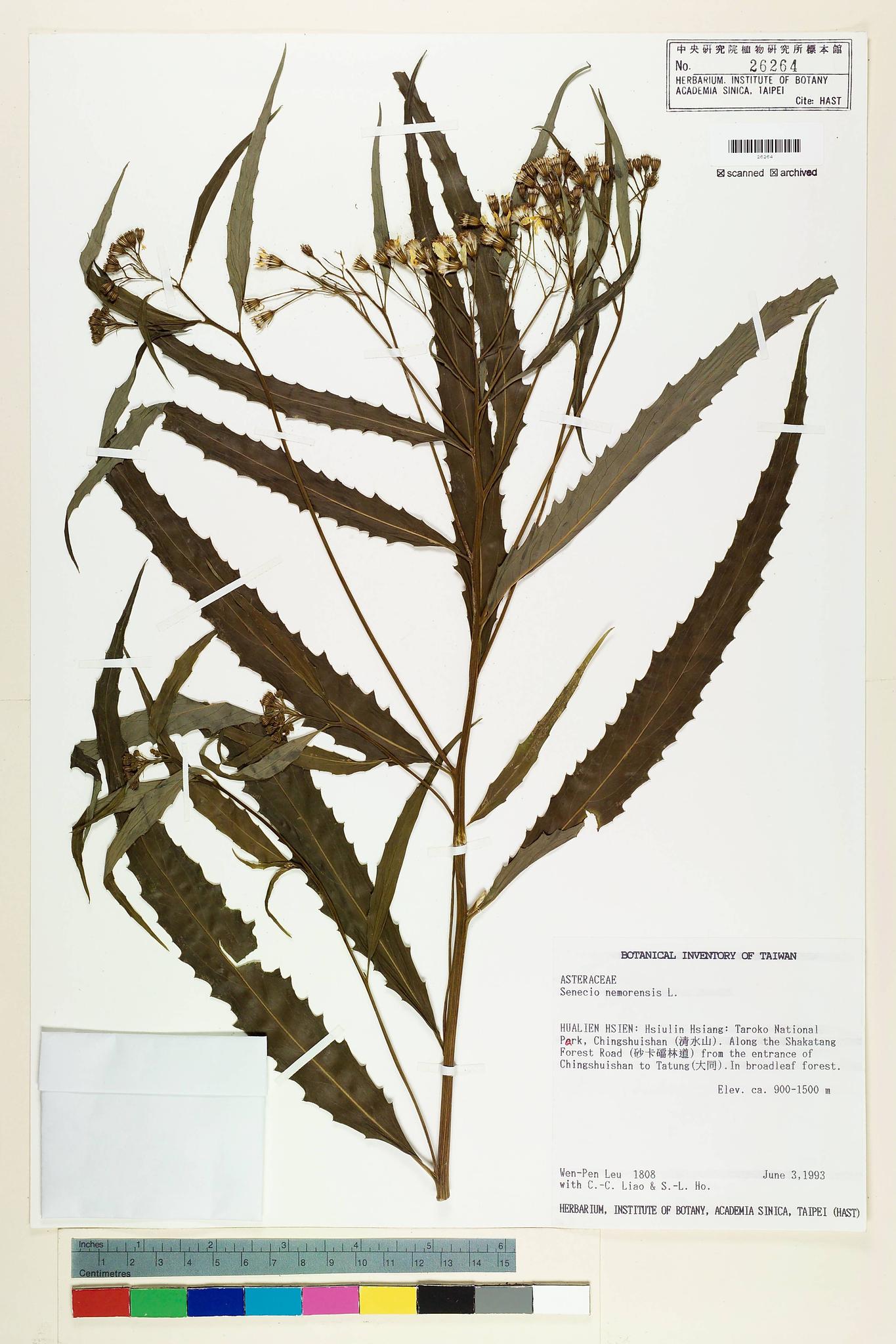 Sample image for viewer