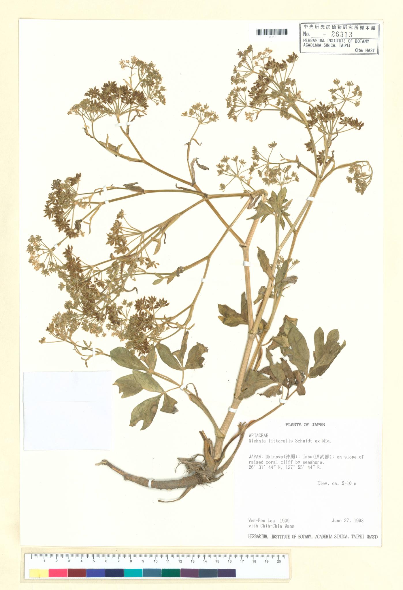 Sample image for viewer