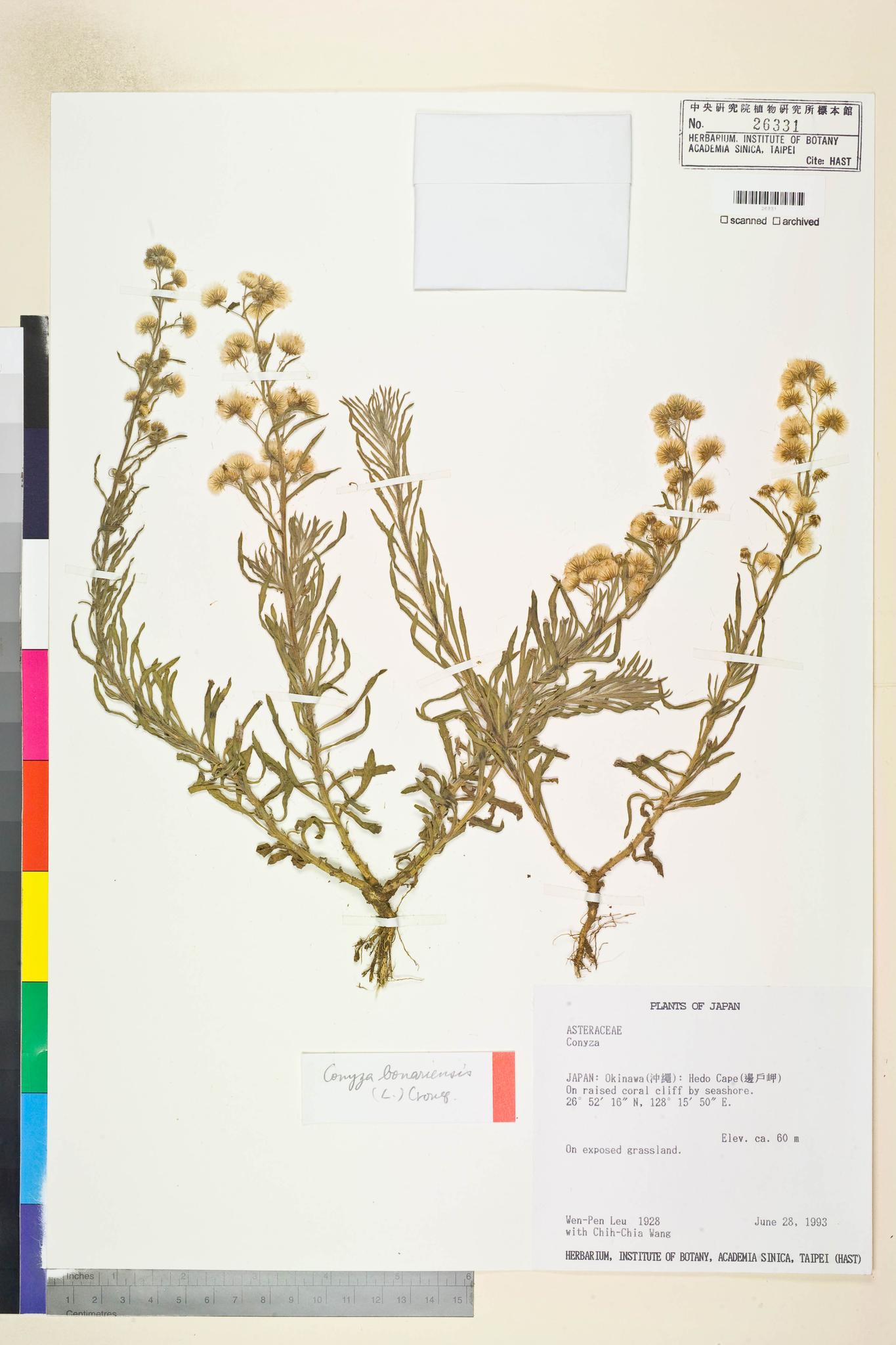 Sample image for viewer