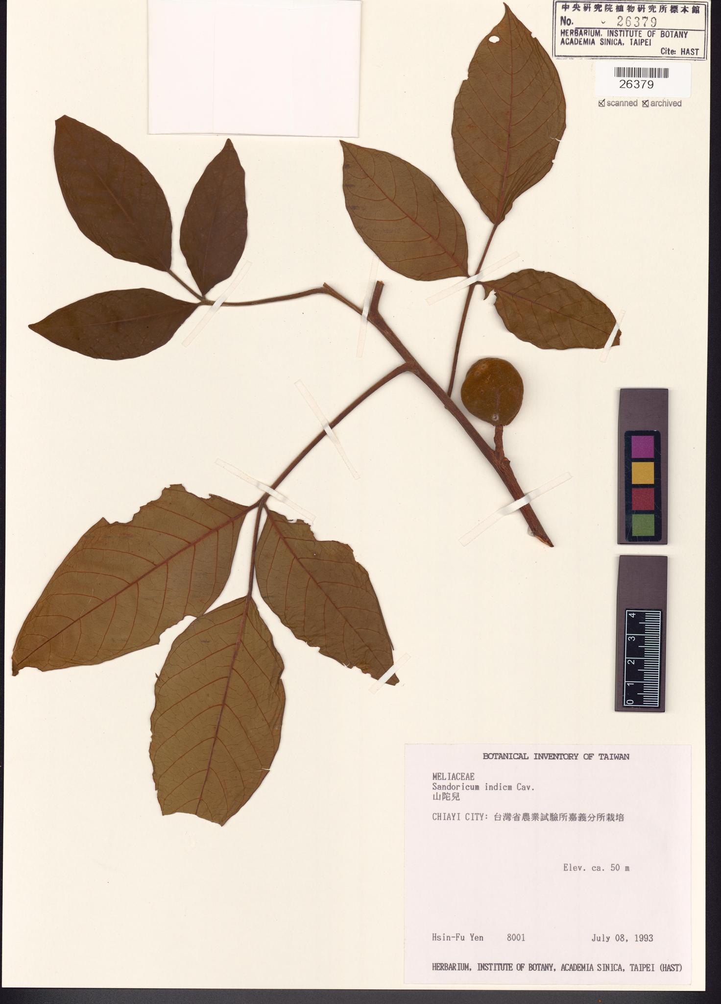 Sample image for viewer