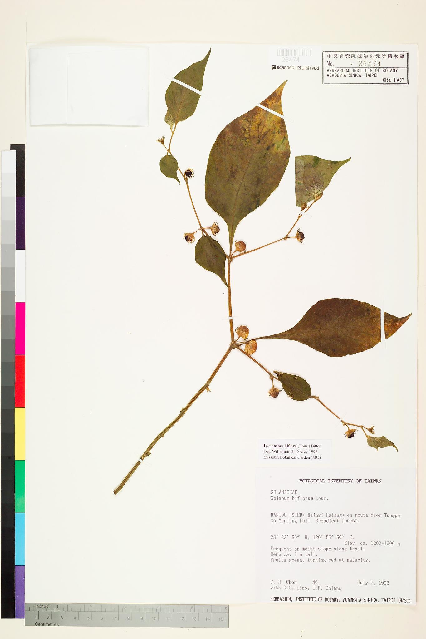 Sample image for viewer