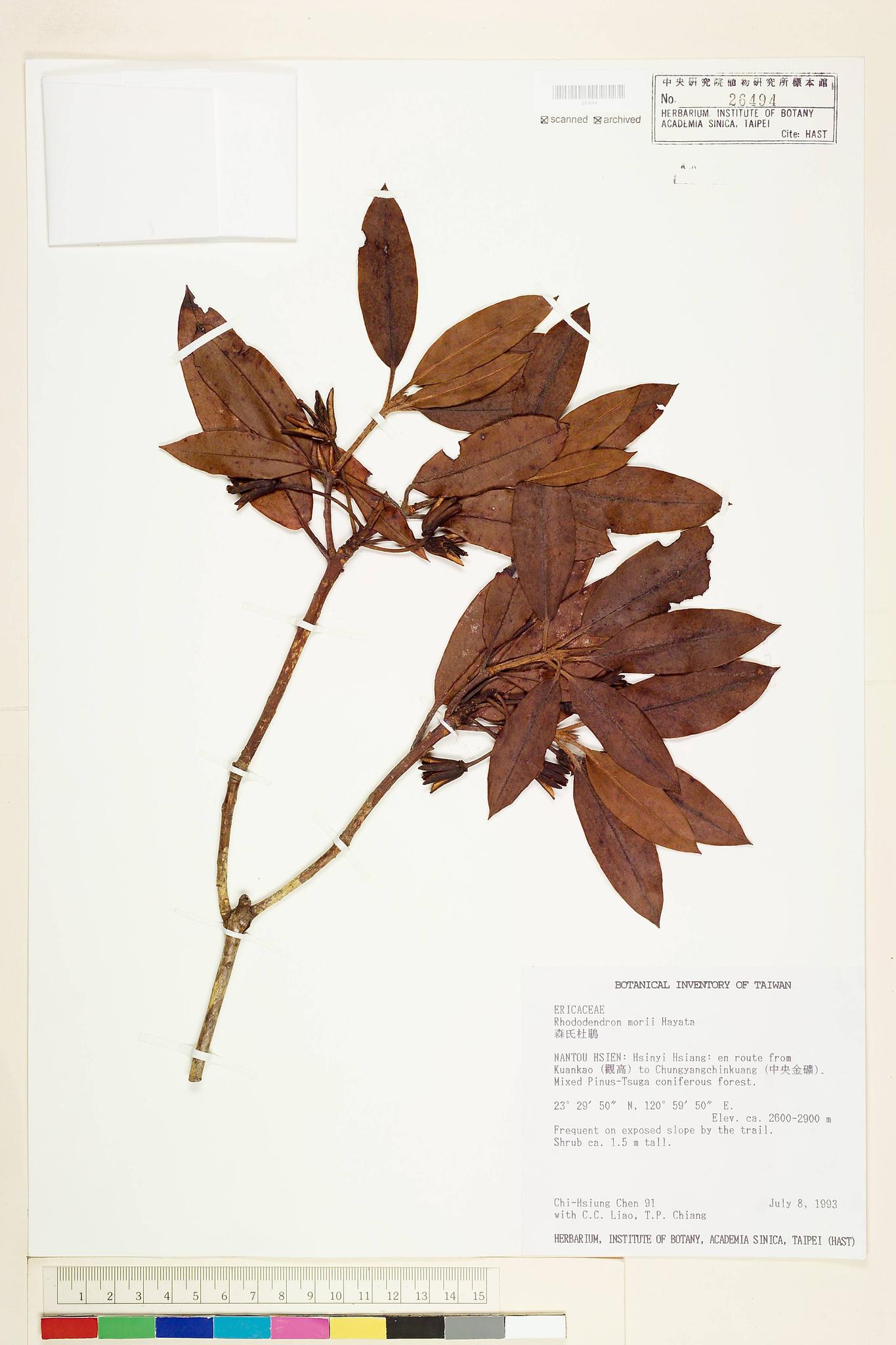 Sample image for viewer