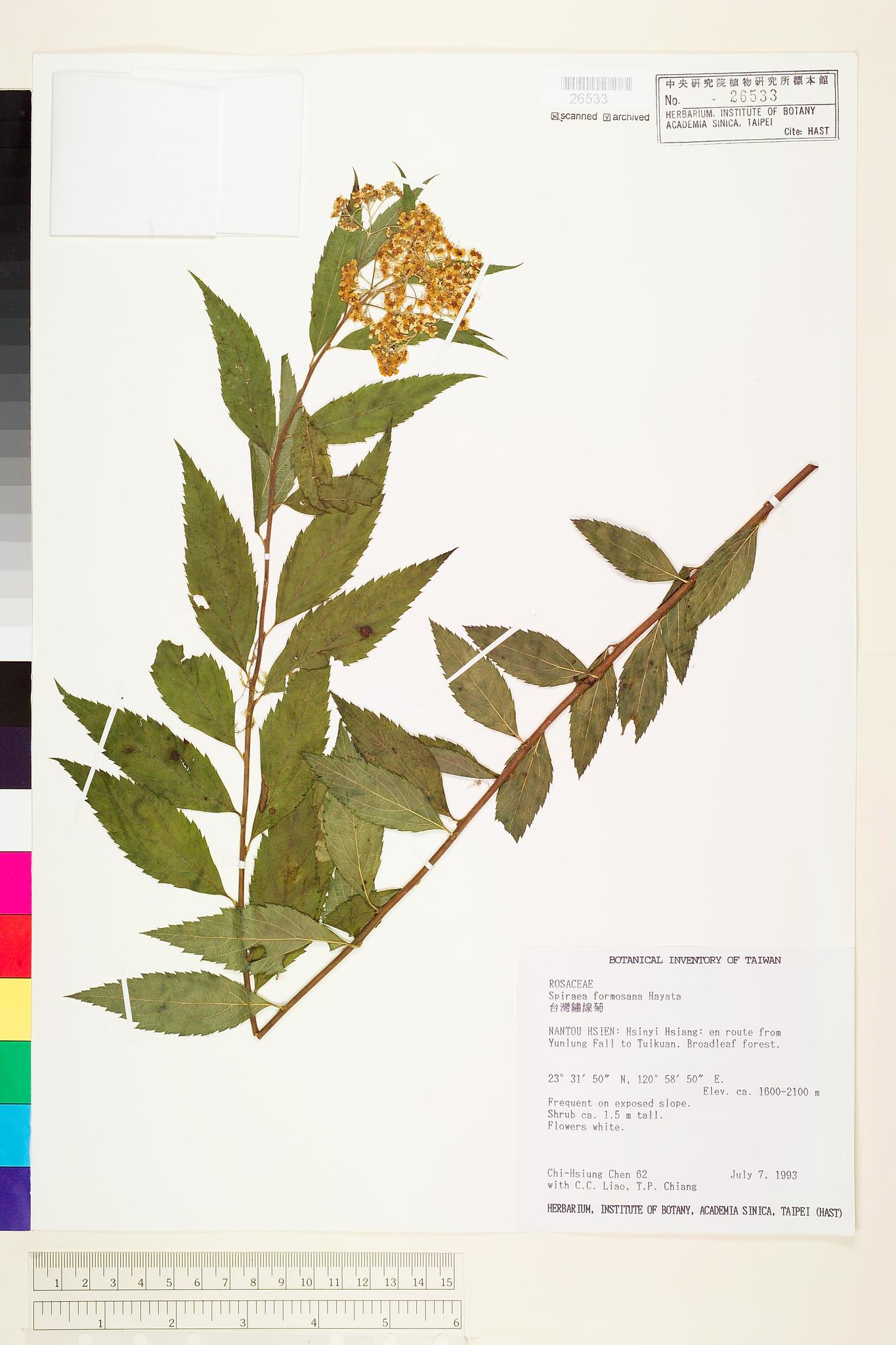 Sample image for viewer