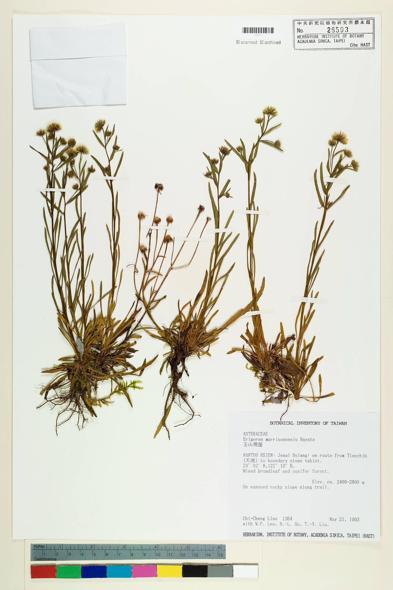 Sample image for viewer