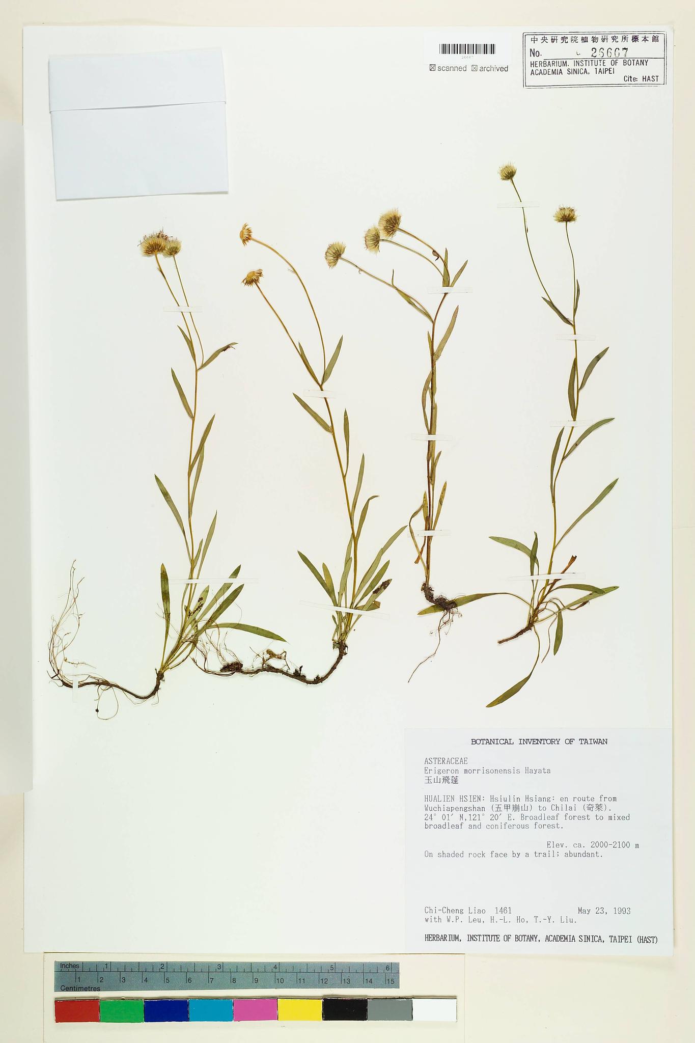 Sample image for viewer