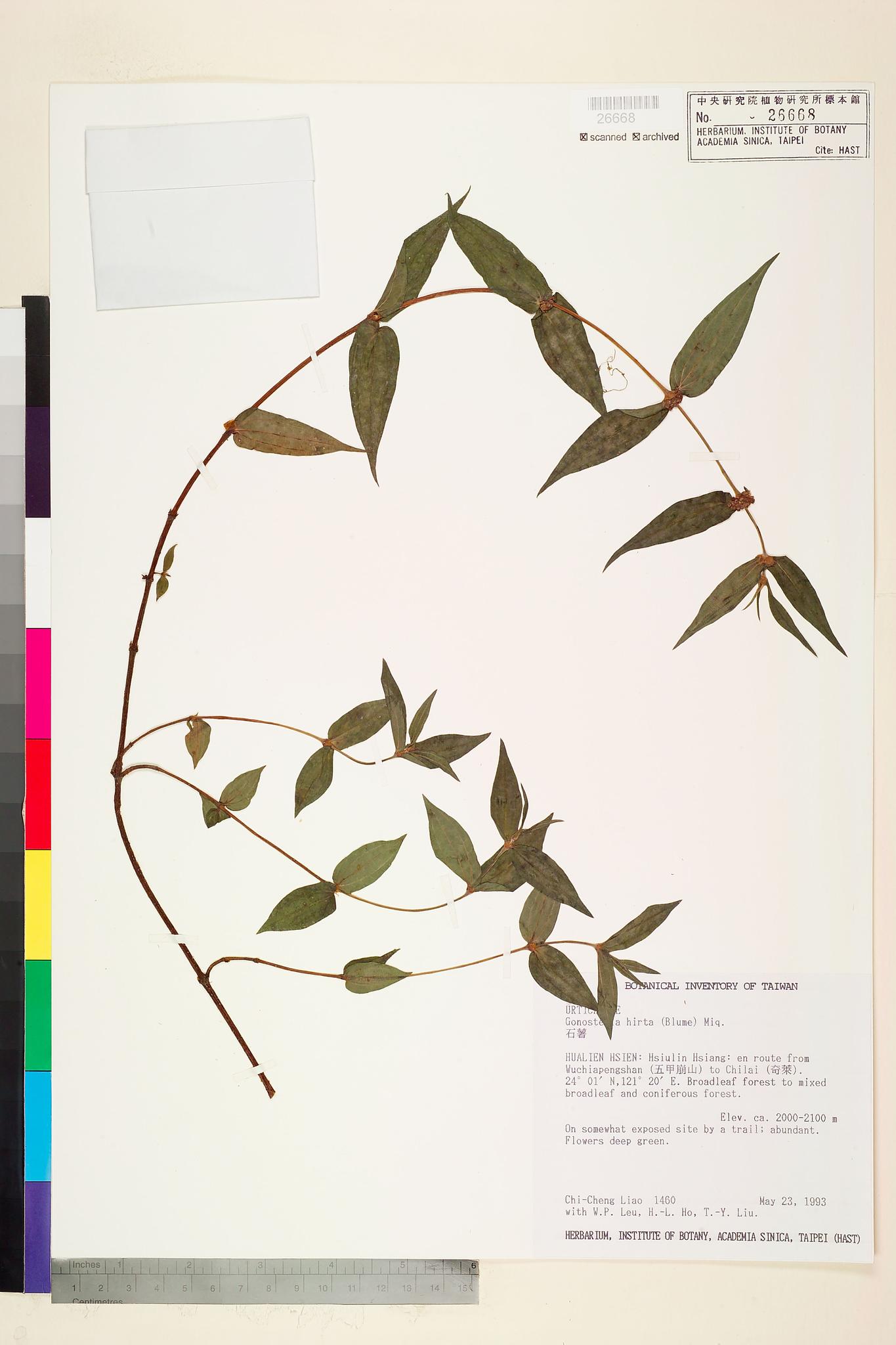 Sample image for viewer