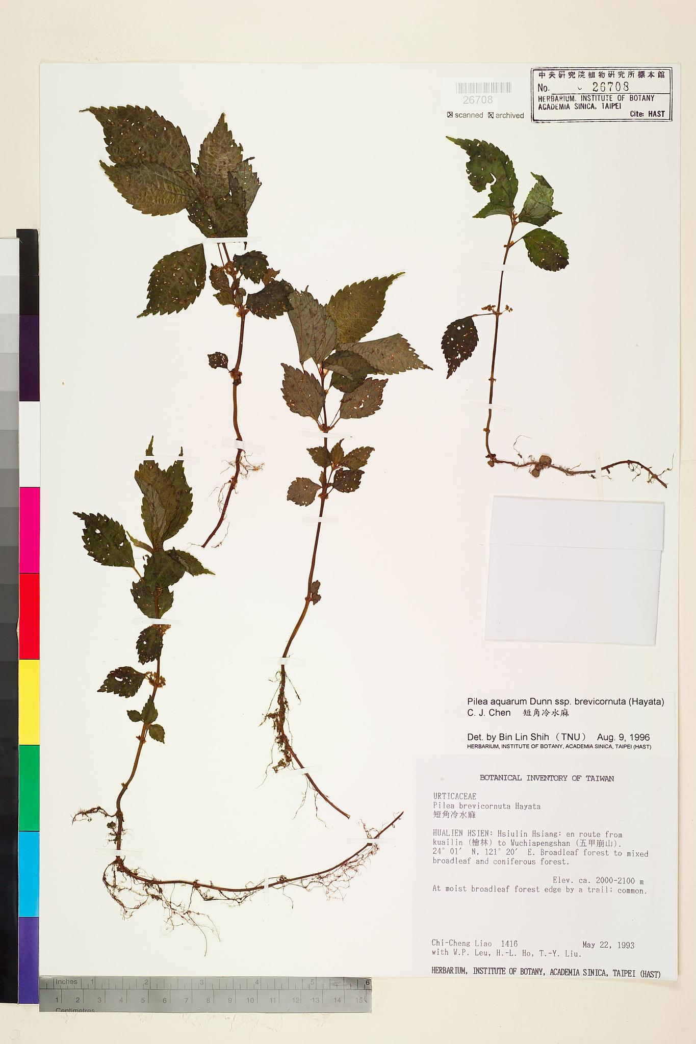 Sample image for viewer