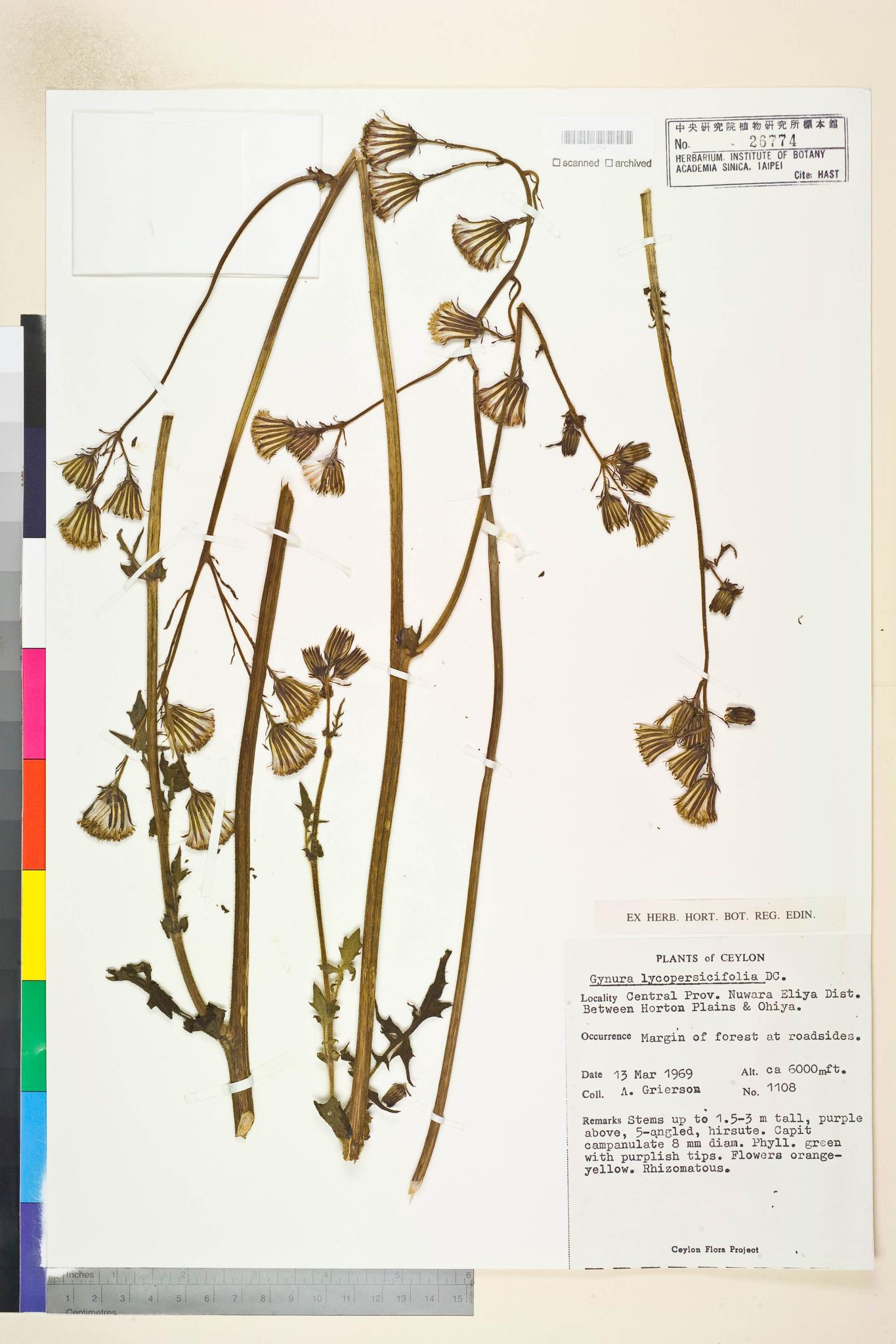 Sample image for viewer