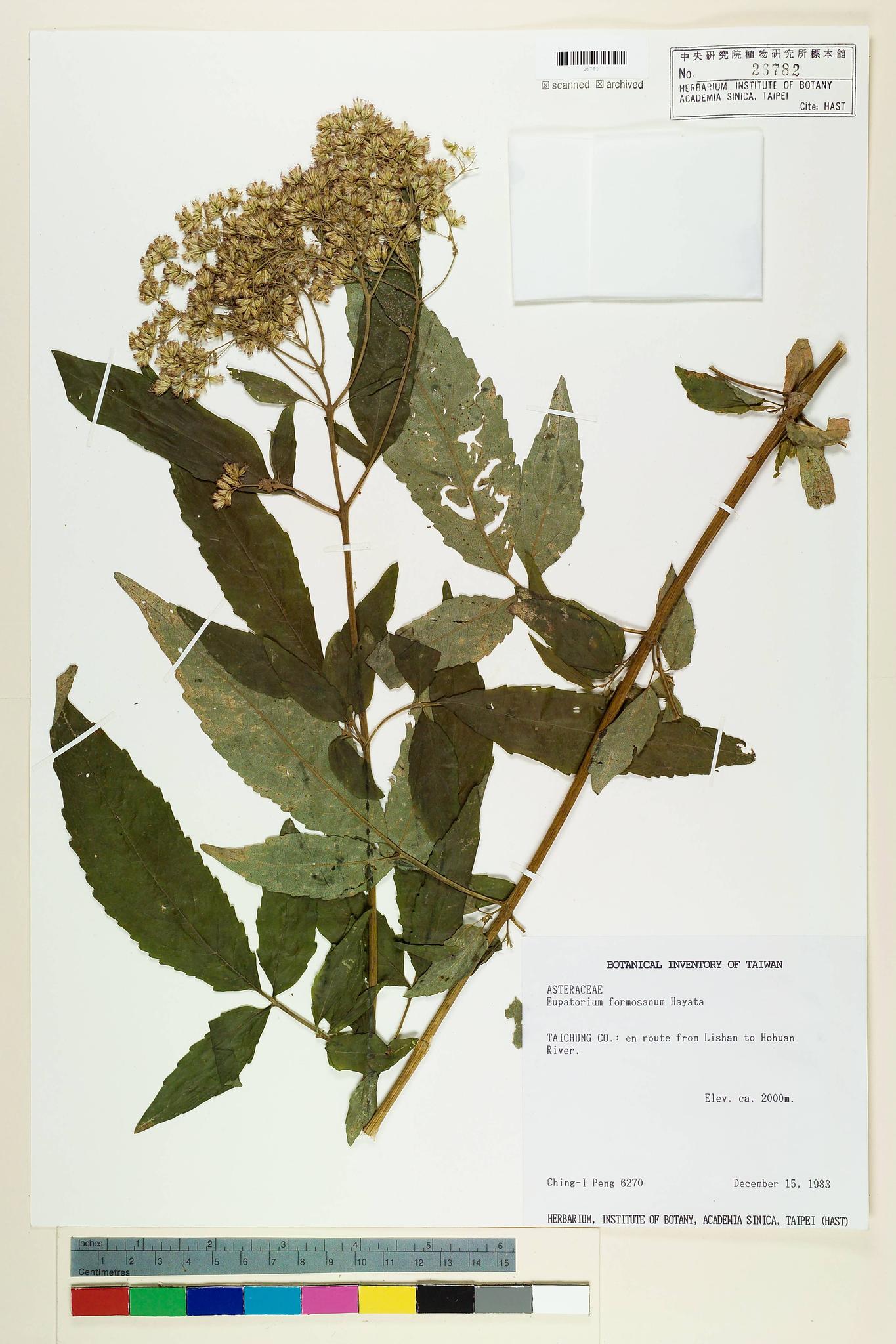 Sample image for viewer