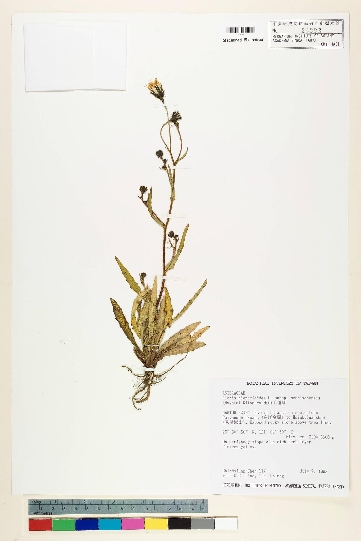 Sample image for viewer