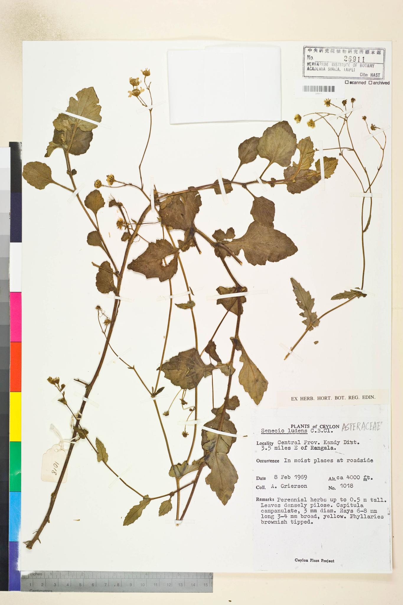 Sample image for viewer