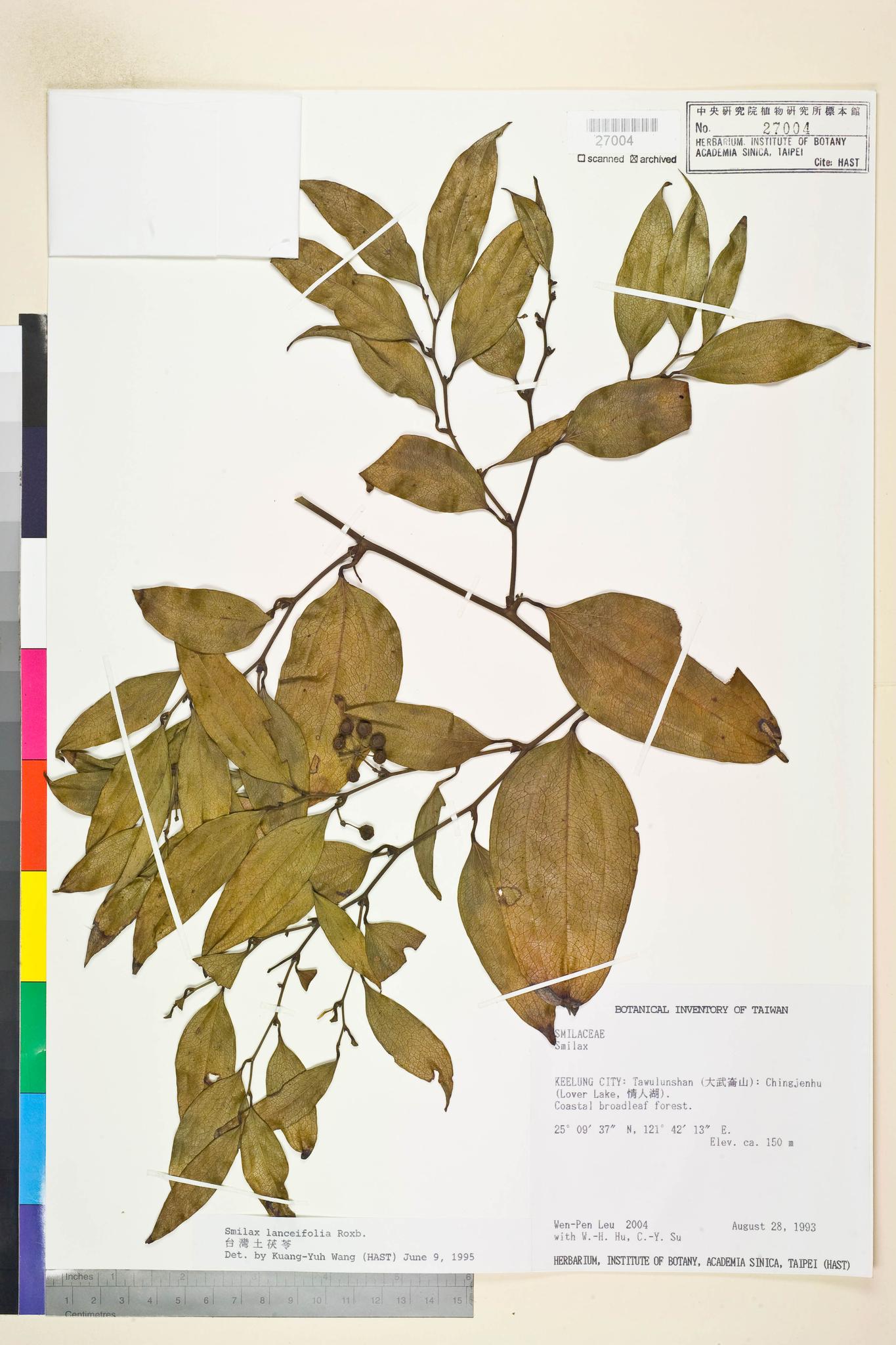 Sample image for viewer