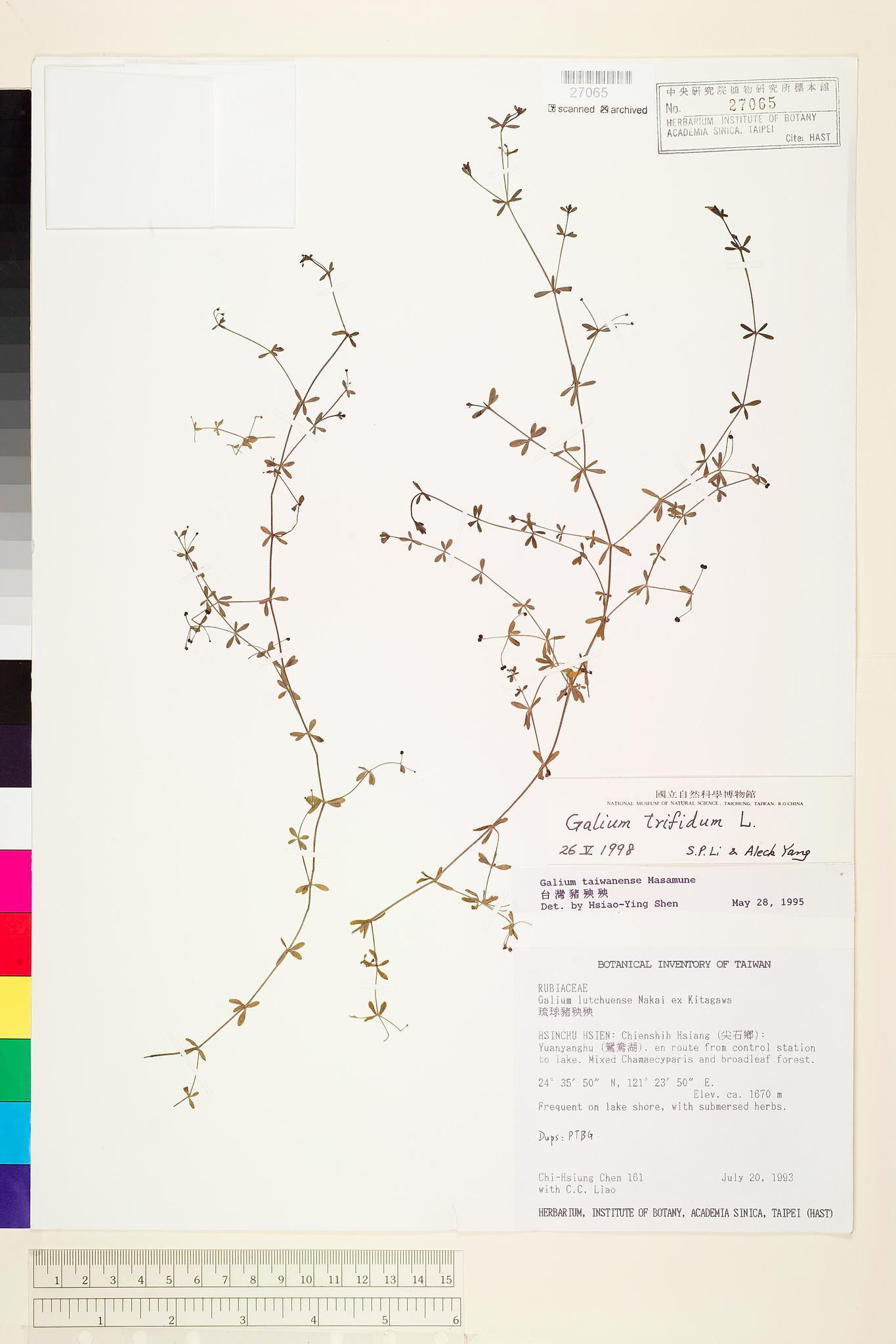 Sample image for viewer