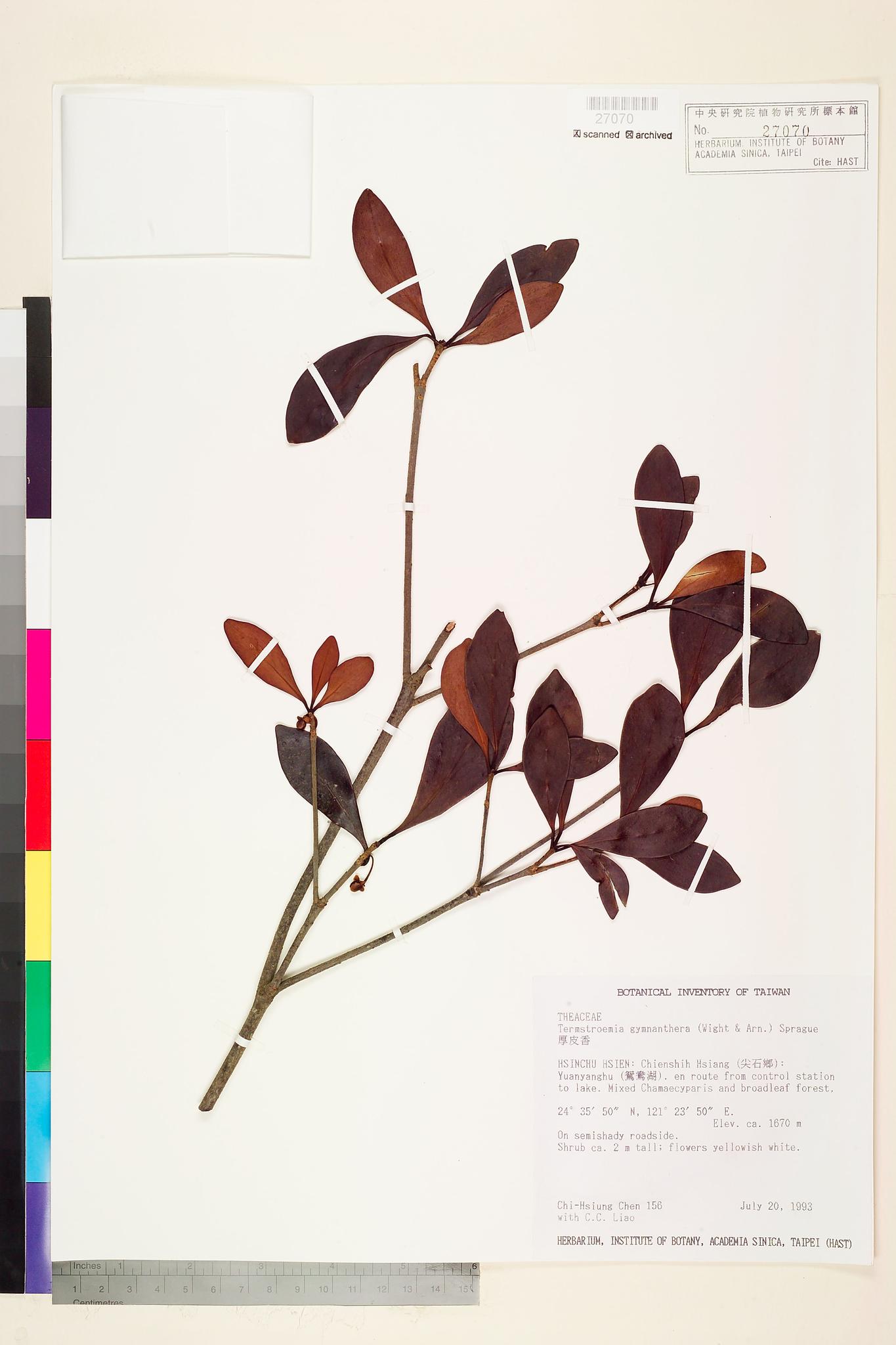 Sample image for viewer