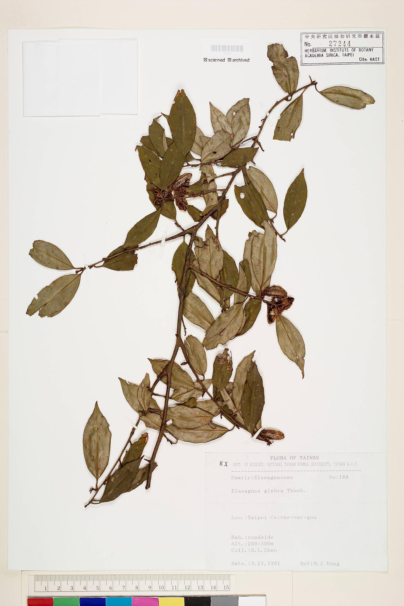 Sample image for viewer