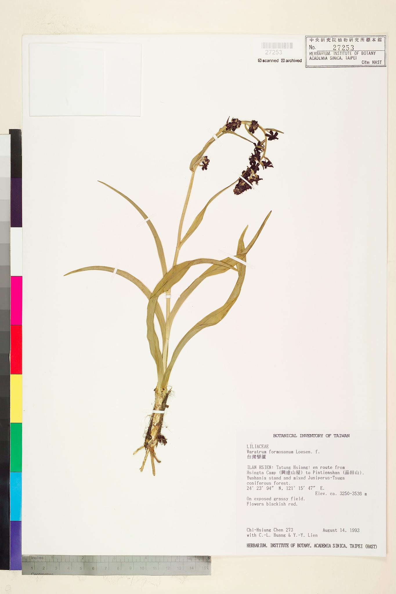 Sample image for viewer