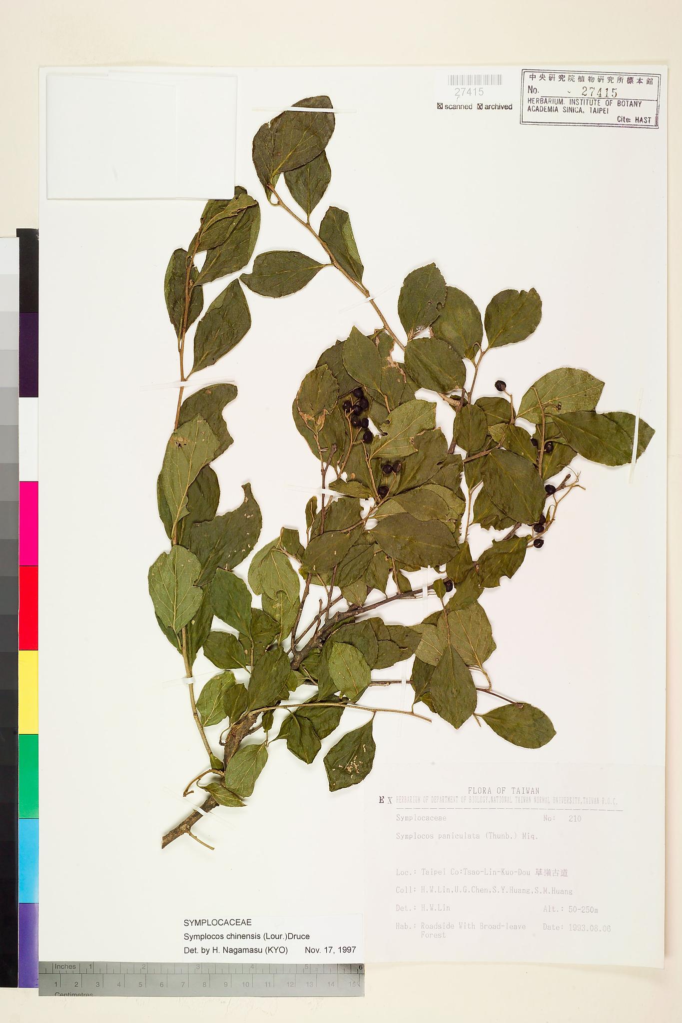 Sample image for viewer