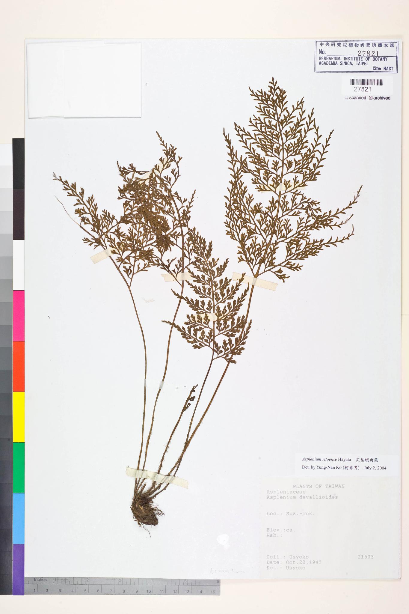 Sample image for viewer