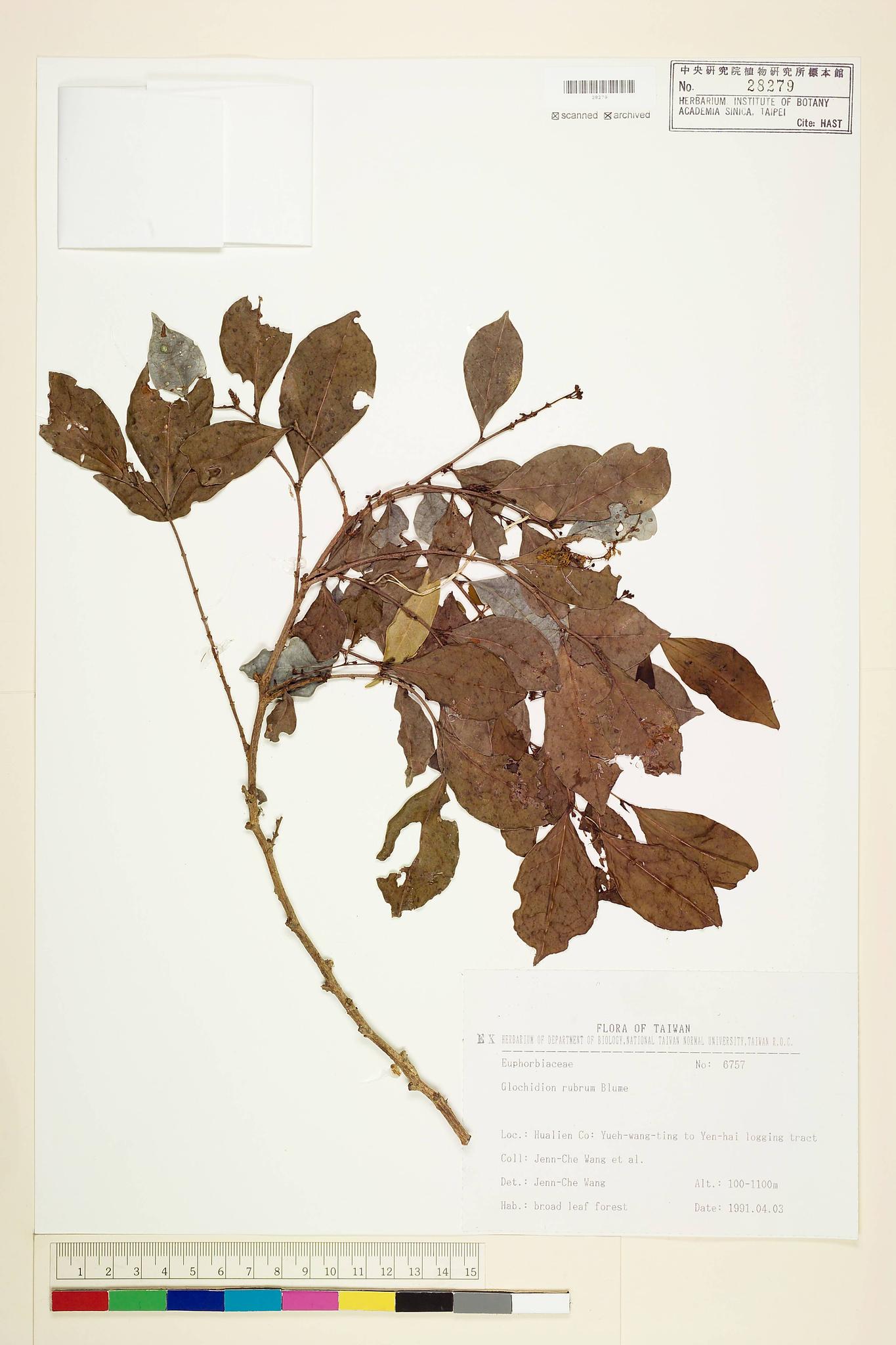 Sample image for viewer