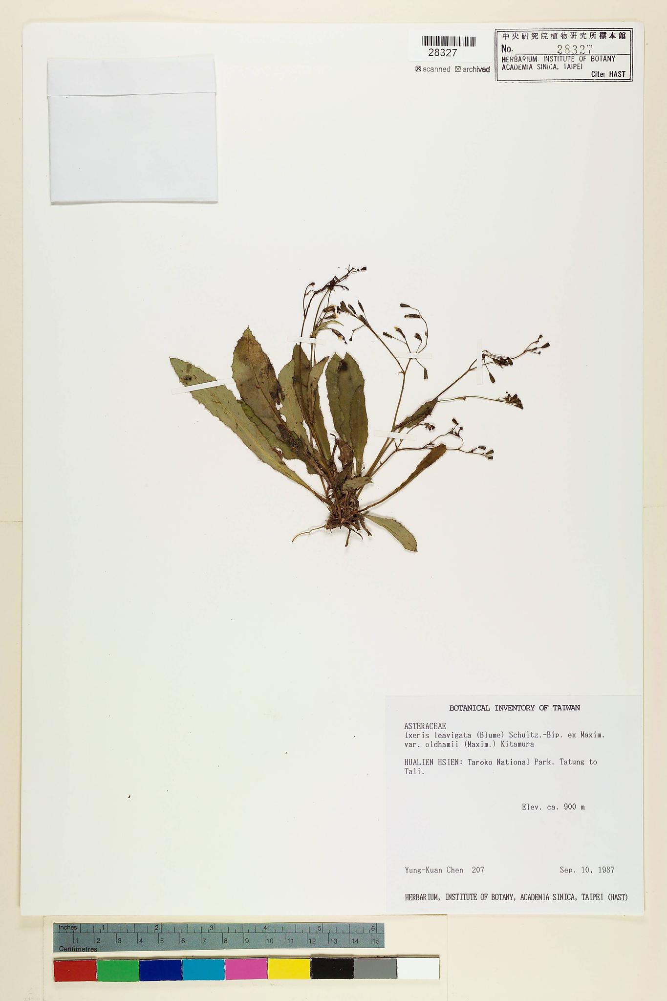 Specimen image