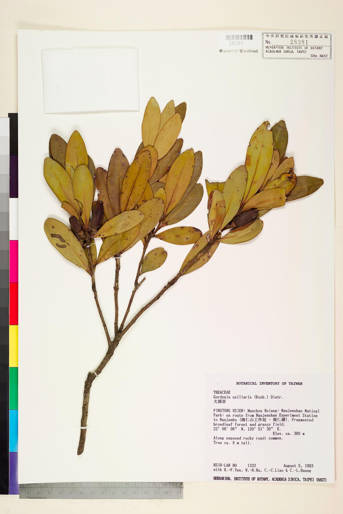 Sample image for viewer