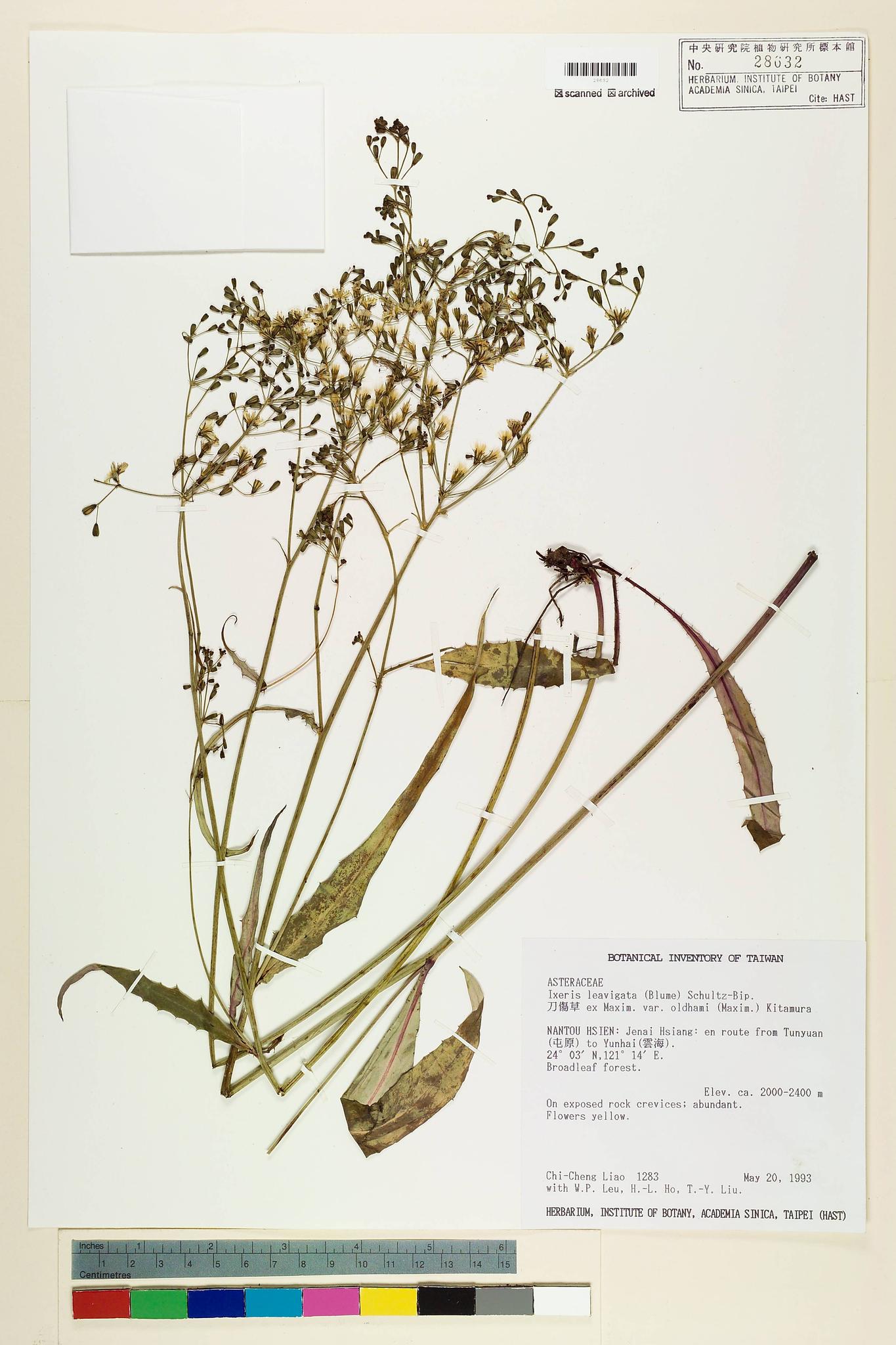 Specimen image
